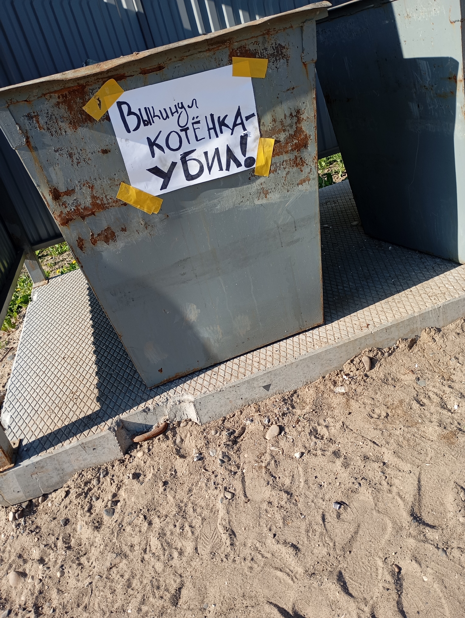 The image shows a gray metal dumpster with a sign taped to its side. The sign is a white piece of paper with black lettering in Russian that translates to "Threw out a kitten - murderer!". The dumpster is positioned on a metal grate platform, with a concrete curb bordering the platform. The surrounding ground is sandy and contains small pebbles and debris. The photograph appears to have been taken outdoors in daylight. The location and precise city cannot be determined from the image.
