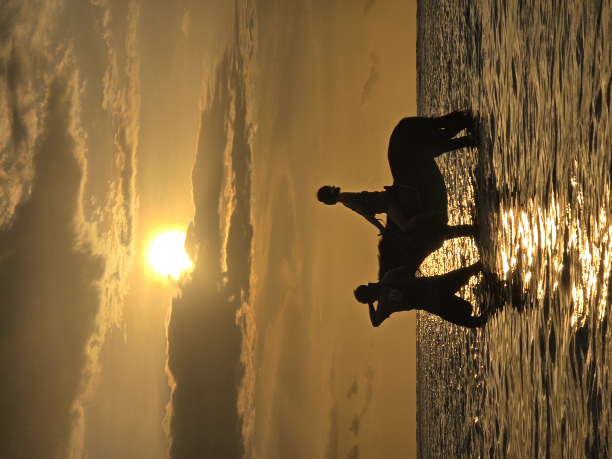 At sunset, a silhouette depicts two people riding a horse along a body of water in an unknown city in Indonesia. The low, setting sun, partially obscured by clouds, creates a golden sky. The calm water reflects the sunlight, adding to the bright scene.