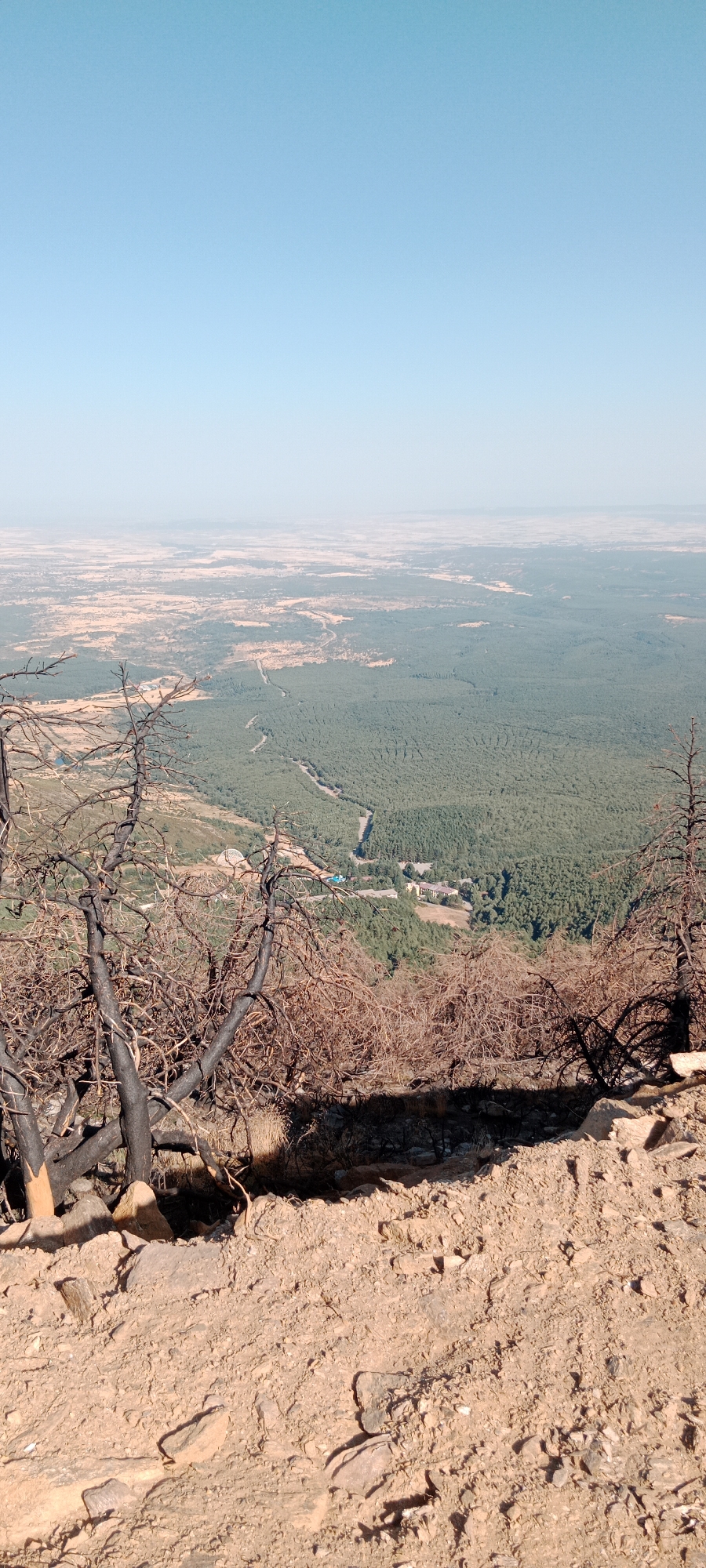 The image captures a panoramic view from a high vantage point overlooking a vast landscape. In the foreground, the scene is dominated by the charred remains of trees and dry brush, indicative of a past fire. The ground is rough and rocky, composed of loose soil and stones. Beyond this scorched area, a dense forest of green trees stretches across the mid-ground, with a winding road cutting through it. In the distance, the landscape transitions to a more arid terrain with scattered vegetation and a hazy horizon. The sky above is a clear, pale blue, suggesting a bright and sunny day. The scene appears to be situated in a natural or semi-natural environment, possibly a mountainous or hilly region, with a sense of distance and expanse. No people or specific human activities are depicted in the image. The overall impression is one of natural beauty with evidence of environmental change.