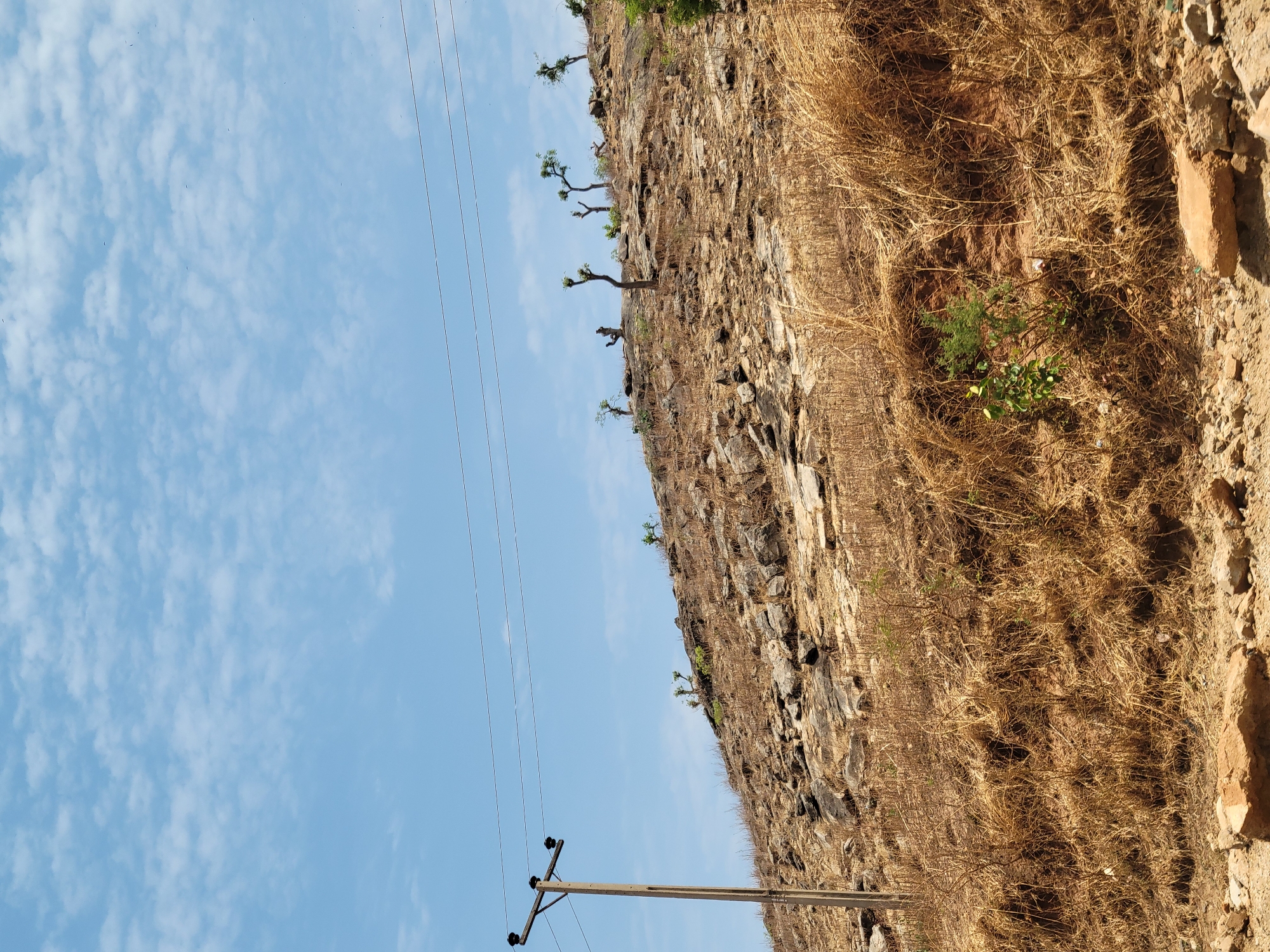 The image shows a rocky hillside in Jama'a, Nigeria, with sparse vegetation consisting of dry grass and a few small trees clinging to the rock face. The sky is blue with scattered clouds. A utility pole with power lines is visible in the foreground. The landscape appears arid and the vegetation suggests a dry season. There are no people visible in the frame.