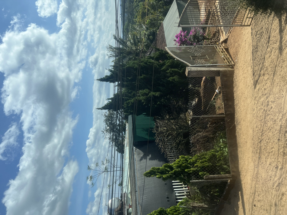 A daytime shot shows a scene with a bright blue sky full of white clouds dominating the view. Buildings with metal roofs are visible, surrounded by lush green vegetation, including tall trees. A metal gate stands on a dirt path, suggesting an entrance to a property. Power lines crisscross the sky, adding to the urban landscape.