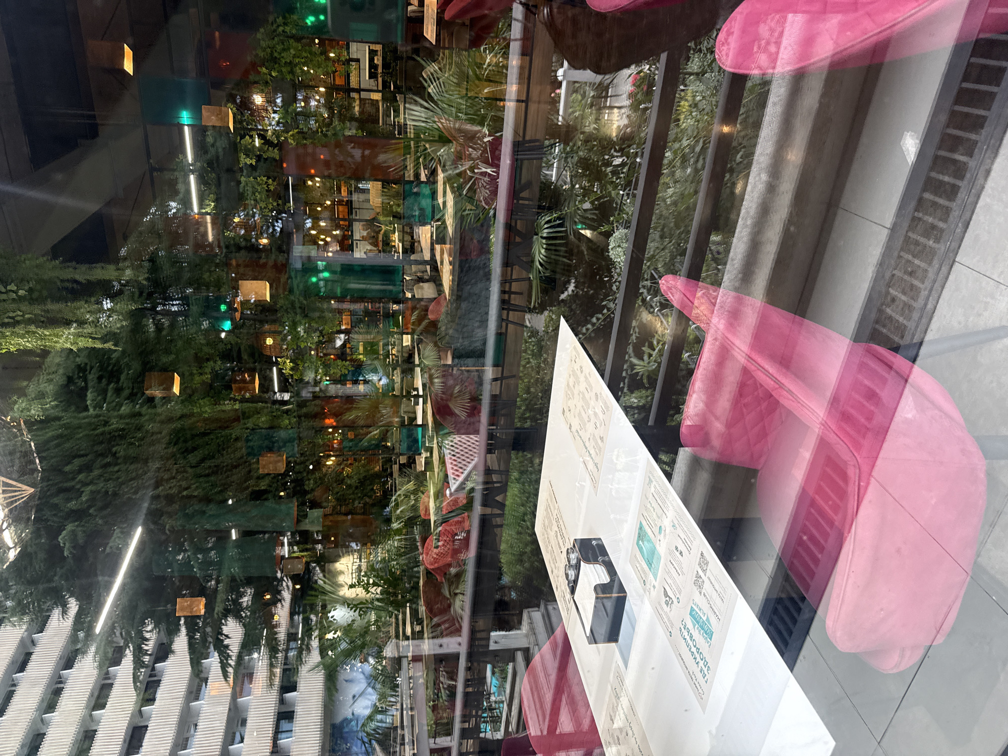 The image shows the interior of a restaurant through a window with reflections. In the foreground, a white table is set with menus and a napkin holder containing small, clear containers. Two pink chairs are visible, one fully in the foreground and another partially reflected. The restaurant interior features numerous plants, hanging lights, and tables with chairs. In the background, a building with white balconies is visible, along with reflections of the sky and possibly other buildings. The scene suggests an outdoor or semi-outdoor dining area, with greenery and a relaxed atmosphere. The text on the menus appears to be in Russian. The location is identified as Yalta, Ukraine, indicating a resort city.