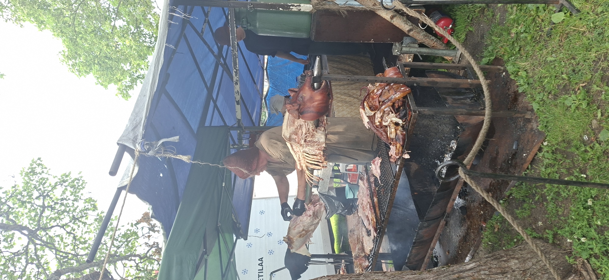 A pig is being roasted on a spit over a charcoal grill at an outdoor market. The pig is dressed and prepared for cooking, with visible ribs and meat. A man wearing a brown hat and apron is tending to the pig, wearing black gloves. The market stall has a blue and green tarp overhead. There are several other cuts of meat and a pig's head visible on the grill and a display table. The ground is covered in grass and dirt, with a rope barrier in the foreground. The scene appears to be set at a public event or festival. The backdrop includes trees and a bright, overcast sky. This image was taken in Turku, Finland.