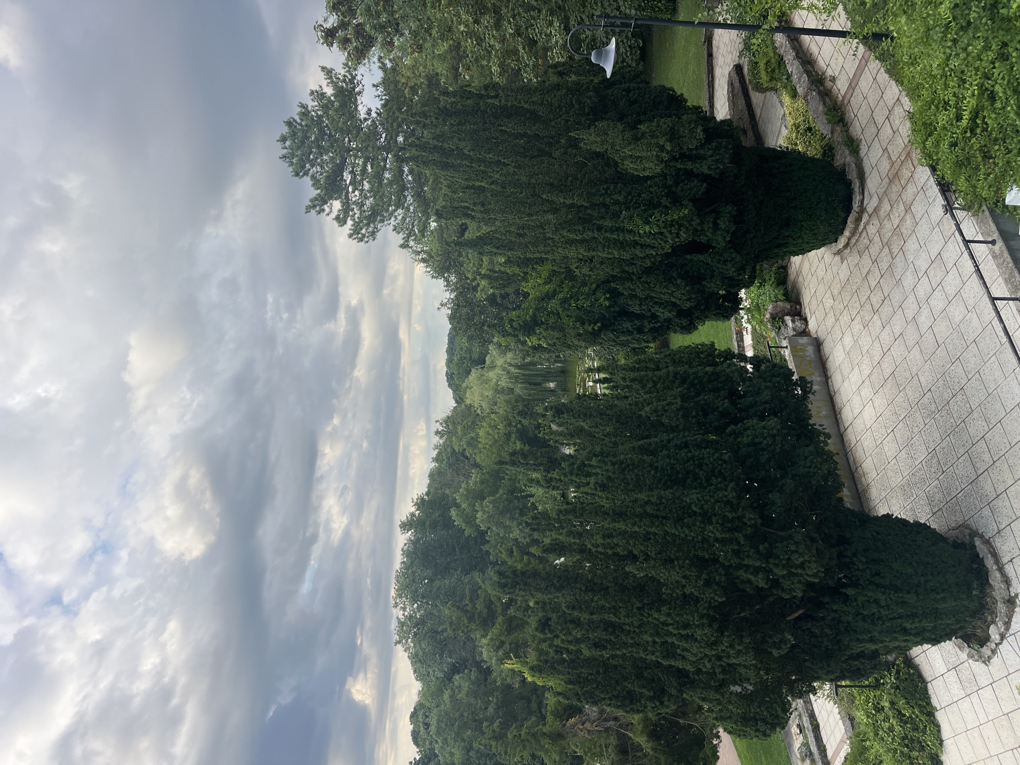 The image shows a courtyard with two tall, dark green coniferous trees in the foreground, flanking a paved area with light-colored square tiles. Beyond the trees, a dense line of various green trees forms a backdrop, with glimpses of a body of water and a weeping willow tree on the left. The sky above is overcast with heavy, gray clouds, with some lighter patches suggesting diffused sunlight. A black lamppost with an bell-shaped shade stands on the right side of the paved area. The scene appears to be a park or garden setting. This location is the "City Garden" in Dobrich, Bulgaria.