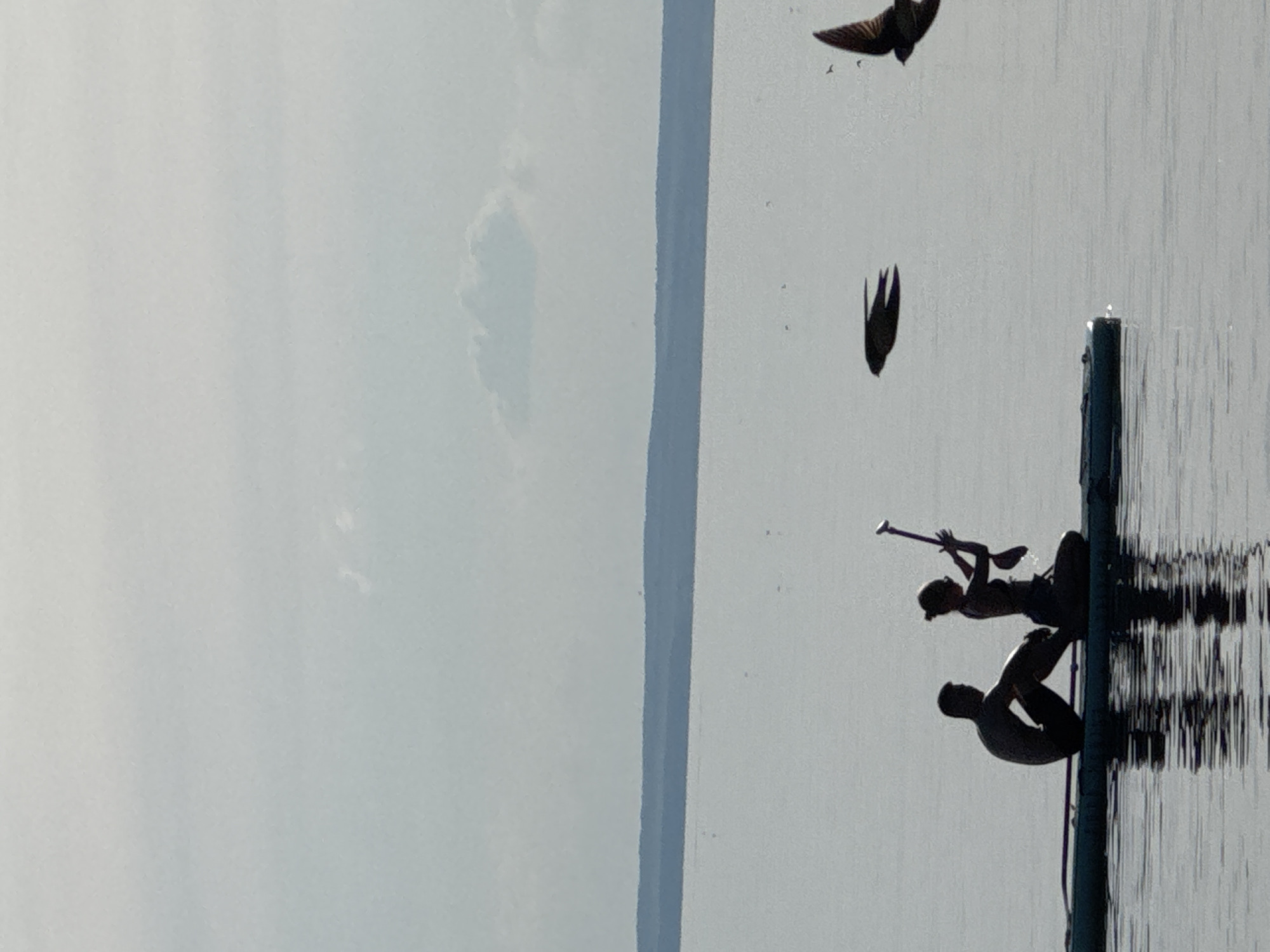 This media file depicts a serene scene on a body of water, likely a lake or the sea, under what appears to be overcast or hazy conditions, suggesting it could be morning or late afternoon. The primary subjects are two individuals silhouetted against the bright sky as they engage in an activity that involves a long pole, possibly a paddle or a pole used for diving or some form of water sport.
One person is positioned above the other, both leaning over the water from what seems to be a dock or a similar structure indicated by a vertical dark pole on the right side of the frame. The upper individual is holding the pole, with their body arched backward, and the lower individual is in a more crouched or bent-over position, also reaching towards the water. Their reflections are visible below them, distorted by the ripples on the water's surface.
In the sky above, two birds are captured in flight, their dark silhouettes contrasting with the pale, diffused light. One bird is further away and appears to be a swallow or a swift, with its wings outstretched. The second bird is closer, its shape also indicative of a similar species.
The overall mood is one of quiet activity and natural beauty. The soft lighting, the presence of wildlife, and the human interaction with the water create a tranquil and somewhat ethereal atmosphere. There is no visible text in the media file. The setting appears to be a natural environment, with a faint, distant landmass or cloud formation visible on the far left, contributing to the sense of open space.
