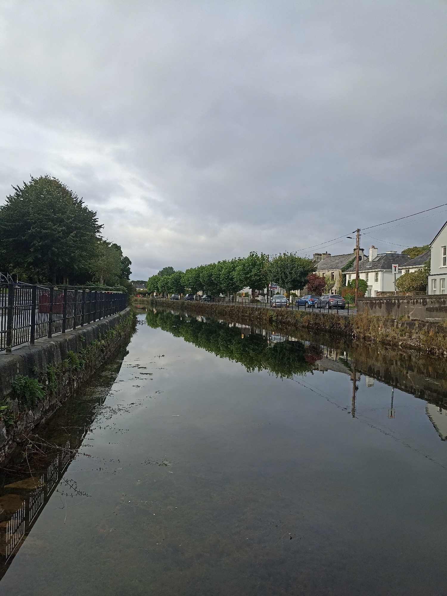 The image captures a tranquil scene along a canal in Galway, Ireland. The canal, with its calm, reflective surface, runs through the center of the frame, bordered by stone walls and lush greenery. On the left bank, a black metal fence runs alongside the canal, with trees and foliage visible behind it. The right bank features a street lined with houses and trees, with parked cars visible. The sky above is overcast, casting a soft, diffused light on the scene. The overall impression is one of peaceful urban landscape, with nature and human habitation harmoniously coexisting.