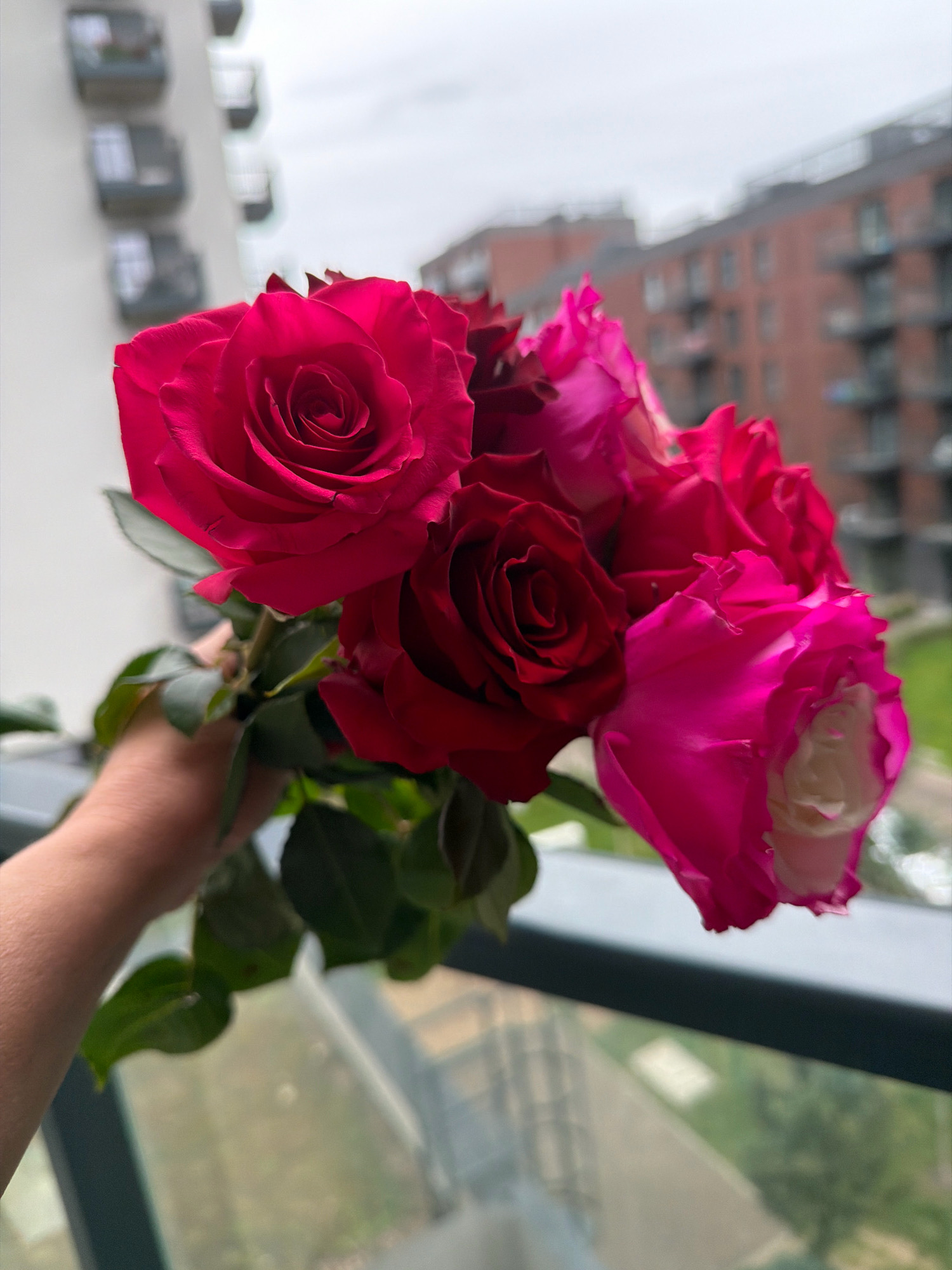 A person's arm is holding a bouquet of red and pink roses. The roses are in the foreground, with the arm and a railing below them. In the background, there are blurred apartment buildings, one light-colored and one brick-red, with balconies. The sky is overcast. The scene is likely on a balcony in an urban area, possibly in Wrocław, Poland, given the architectural style of the buildings.