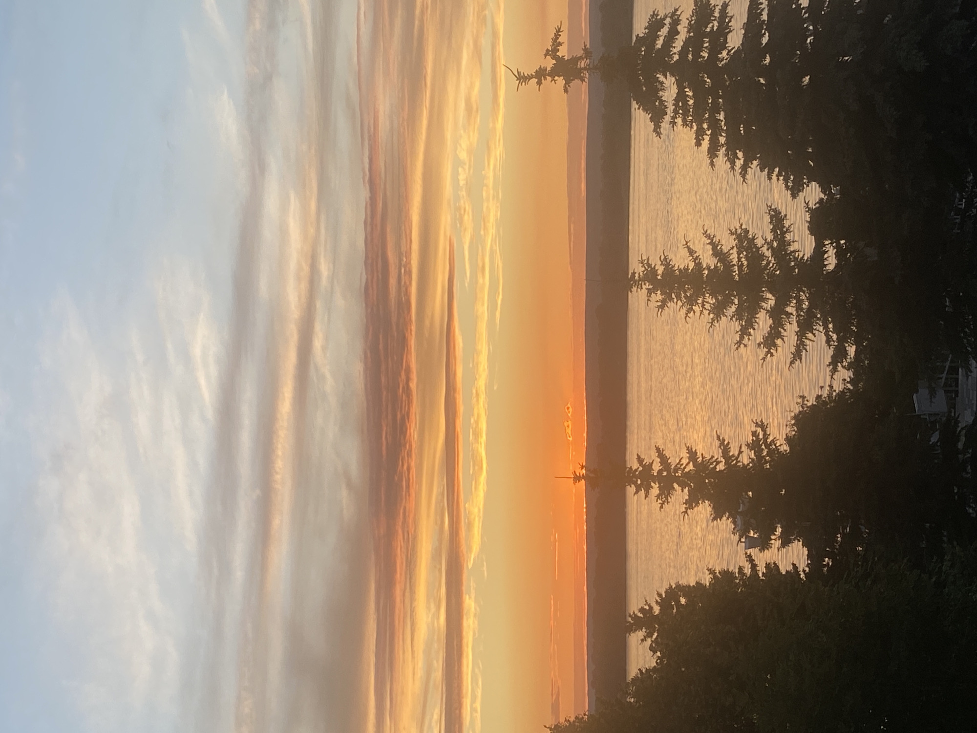 This image depicts a sunset over a body of water, likely the Kugoluk River, in Novokuybyshevsk, Russia. The sky is filled with vibrant hues of orange, yellow, and pink from the setting sun, with scattered clouds adding texture and depth. The water reflects the colors of the sky, creating a warm and serene atmosphere. Silhouetted against the bright sky are several evergreen trees and a distant treeline. The overall scene is tranquil and picturesque, capturing the natural beauty of the landscape at dusk.