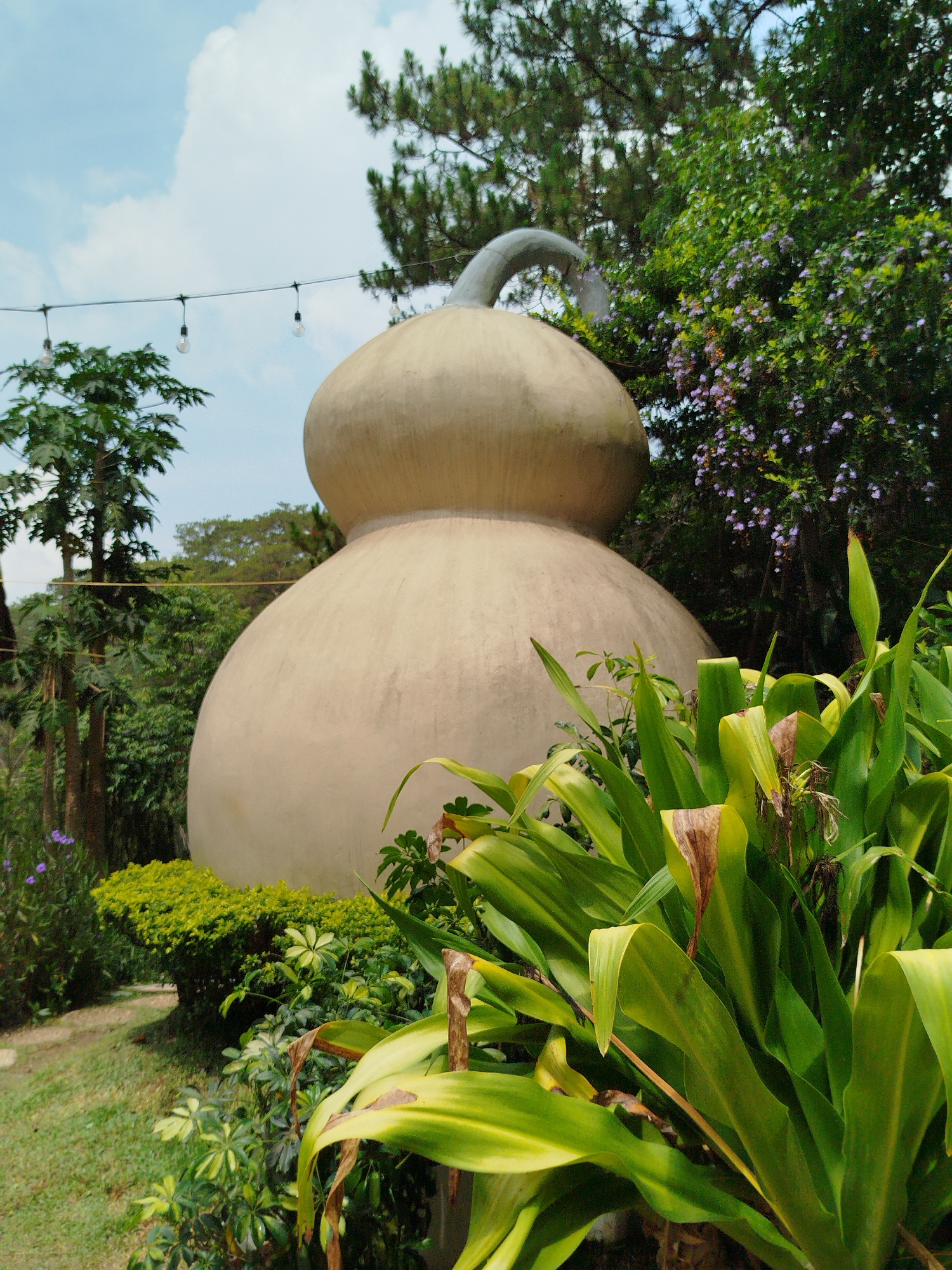 This image depicts a vibrant outdoor garden scene in Da Lat, Vietnam, centered around a distinctive, large, light-beige structure shaped like a double gourd or calabash. The smooth, earth-toned sculpture rises prominently, featuring a narrower upper bulb topped by a curved, stem-like element, resting on a broader lower bulb.
The gourd structure is surrounded by lush green vegetation. In the immediate foreground, large-leafed plants with shades of green and yellowish-green dominate, some exhibiting browning at their tips and edges. Behind these, manicured green bushes contribute to the landscaped appearance. A diverse array of trees fills the background, including tall pine trees with their characteristic needles, other broadleaf trees, and a tree with large, palmate leaves, possibly a papaya. Clusters of small purple flowers are scattered among the darker green foliage in the midground and background. The ground in the lower left shows green grass.
The sky is a clear, bright blue with scattered white, fluffy clouds, suggesting good weather, likely morning or early afternoon. A string of bare incandescent light bulbs is strung across the upper left portion of the frame, hinting at an area designed for evening events or ambiance. No people or specific activities are visible, conveying a peaceful and static scene within what appears to be a well-maintained park or themed garden environment in the highland city of Da Lat.