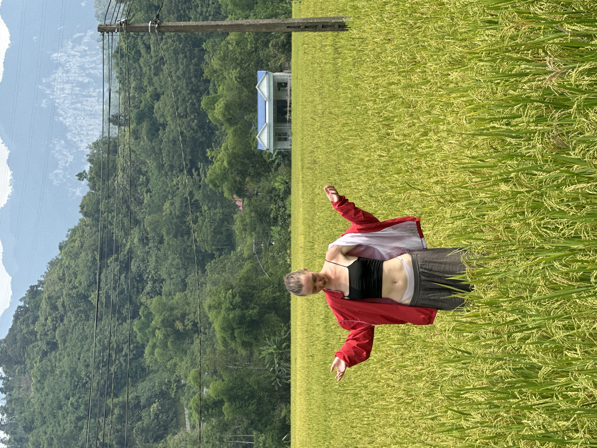 This image depicts a young woman standing in a vast, vibrant rice field under a bright daytime sky, characteristic of Ngọc Đường Commune, Vietnam. The woman, positioned slightly to the right of the frame's center, has light-colored hair pulled back. She is dressed in a black crop top, dark shorts with visible white underwear or bikini bottoms, and an open red jacket. Her arms are gently outstretched, and her head is tilted slightly downwards, conveying a relaxed or serene expression.
The rice field, stretching from the foreground into the midground, shows a mixture of green and golden stalks, suggesting it is close to harvest. Further back in the field, a white house with a distinct blue roof is visible. To the left, a tall wooden utility pole supports multiple power lines that traverse horizontally across the mid-distance. Dominating the background are steep, densely forested mountains, their peaks reaching towards a bright sky with scattered white clouds. The clear, direct sunlight indicates the time of day is likely late morning or early afternoon. The scene evokes a sense of peace and natural beauty within a rural agricultural setting. There is no visible text in the image.