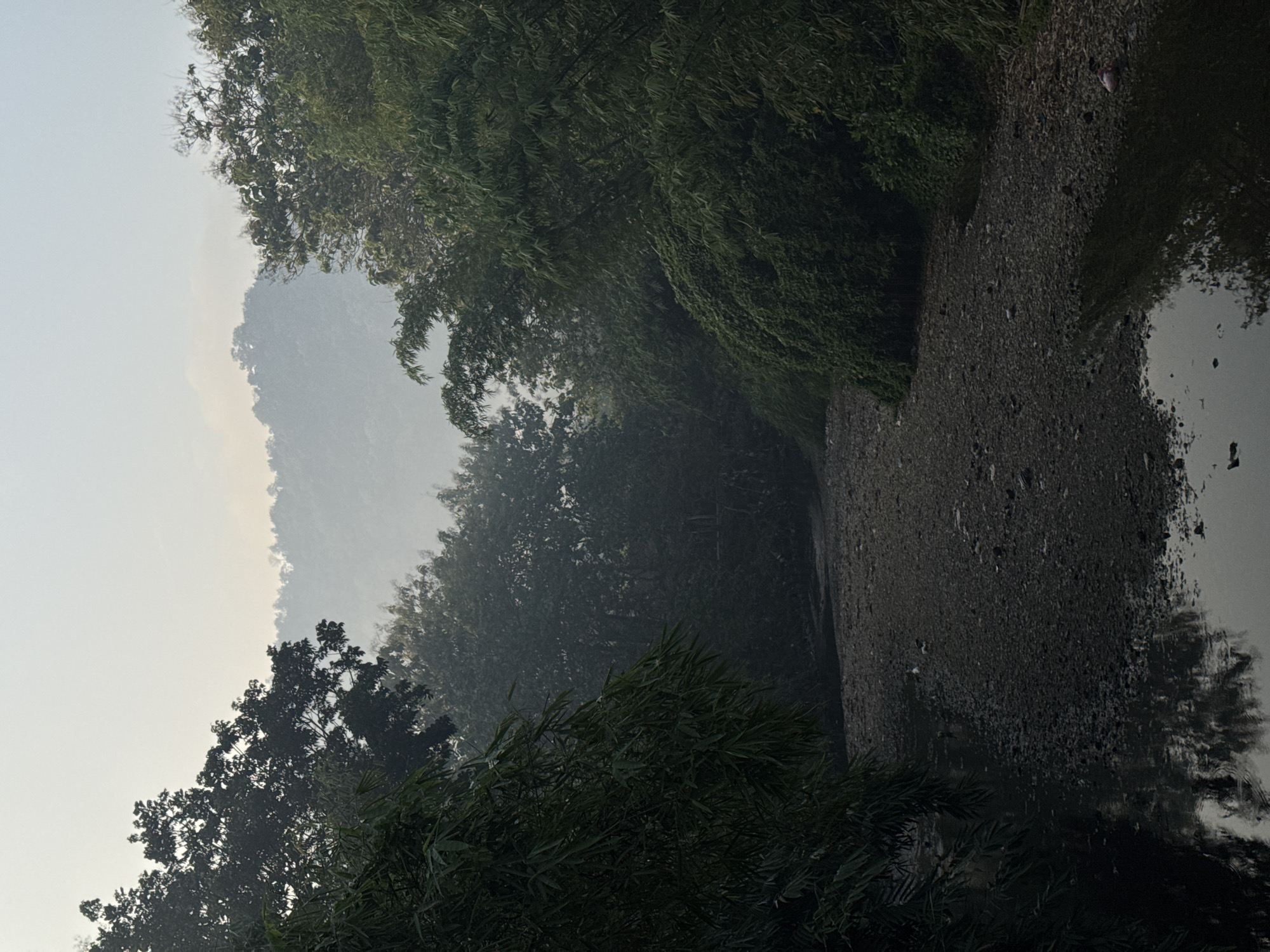 The image depicts a serene natural scene in Kalirancang, Indonesia, likely during the early morning or late evening due to the soft, diffused light and atmospheric haze. A dry riverbed, composed of dark pebbles and some sparse vegetation, dominates the foreground, with a shallow stream of water reflecting the surrounding trees on the left side of the frame. Lush green foliage, including bamboo and other leafy trees, lines both banks of the riverbed, creating a sense of enclosure. In the background, mist-shrouded hills or mountains rise, their forms softened by the atmospheric conditions. The overall impression is one of tranquility and natural beauty, with the landscape appearing largely untouched by human activity, apart from some faint litter visible on the right bank of the riverbed.