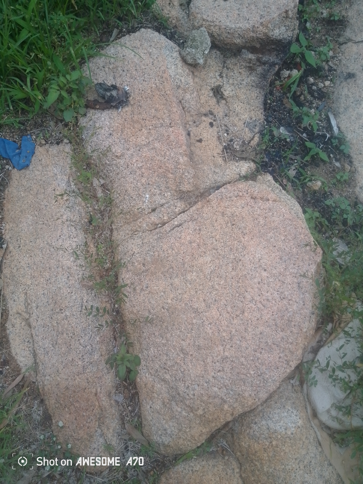 The image shows a close-up view of several large, weathered granite rocks and some sparse vegetation. A small pile of dark, dry material, possibly animal droppings or debris, rests on the surface of one of the rocks. A crumpled piece of bright blue fabric is visible to the left of the rocks, partially obscured by green grass and weeds. The ground appears to be a mix of soil, small stones, and dry leaves. The lighting suggests it may be daytime. The scene is outdoors and appears to be in a natural or undeveloped area, possibly a park or a rocky roadside. There are no people visible in the image. The lower right corner of the image contains a watermark indicating "Shot on AWESOME A70."