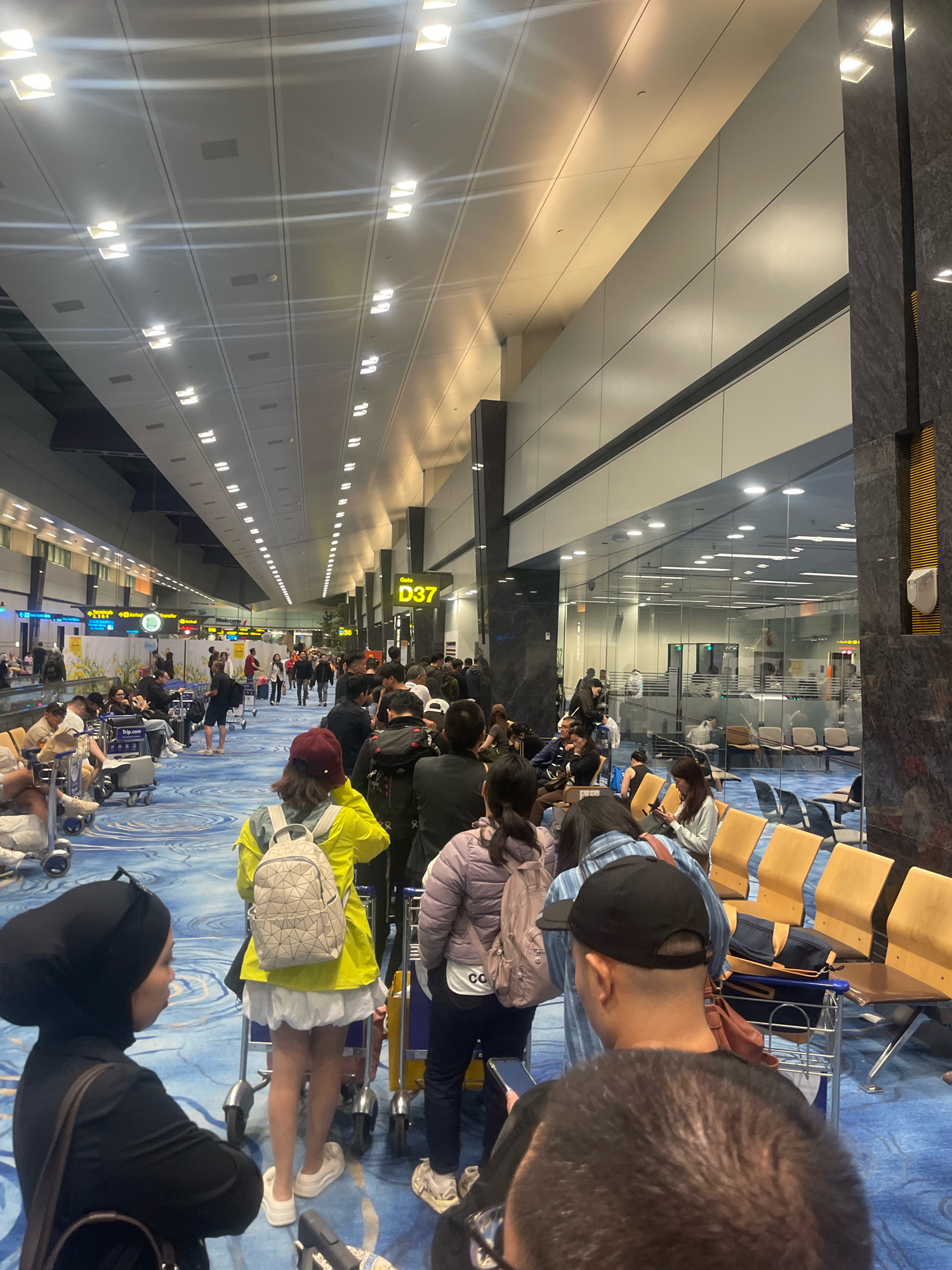 The image depicts a busy airport terminal at Singapore Changi Airport. A long queue of diverse passengers, predominantly Asians, is visible, with some individuals seated on yellow chairs in the background. The terminal features a modern architectural design with a high ceiling illuminated by fluorescent lights. A prominent sign with "Gate D37" indicates a departure gate. The floor is covered with a distinctive blue carpet featuring a wave-like pattern. Passengers are accompanied by luggage, including trolleys and backpacks. The scene captures a typical airport environment with people engaged in various activities such as waiting, conversing, and checking their phones, suggesting a departure or transit area.