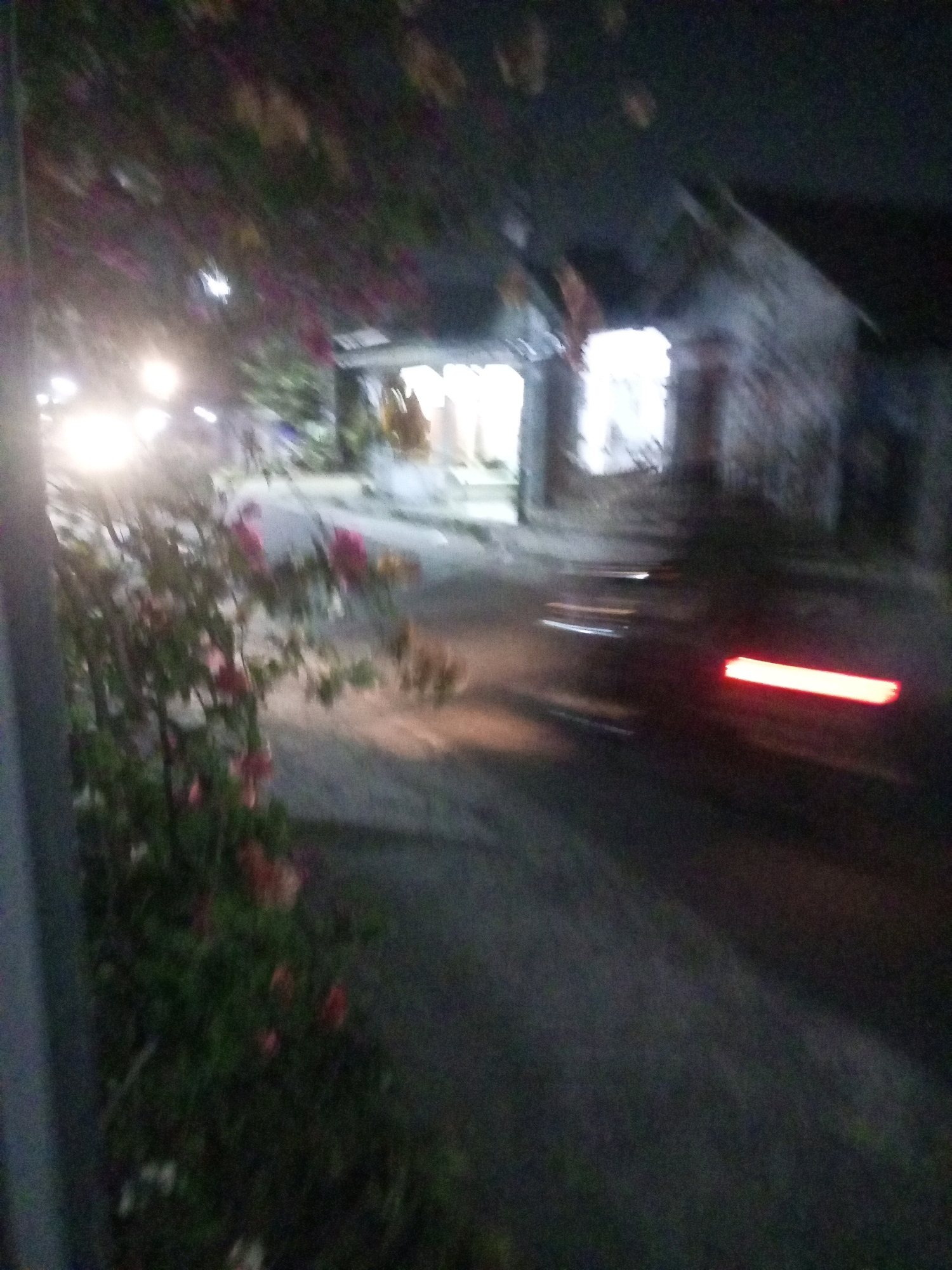 The image depicts a blurry nighttime street scene in Ngasem, Indonesia. In the foreground, a bush with pink and red flowers is visible on the left. To the right, a road with a dark asphalt surface is present. A vehicle with a bright red taillight is in motion on the road, indicating it is moving away from the viewer. In the background, a building with a light-colored facade and a roof is seen. Lights are emanating from the windows of the building, suggesting interior illumination. The overall impression is one of a street at night, possibly with some residential or commercial activity occurring in the building. The blurriness suggests either movement of the camera or a low-light photography situation.