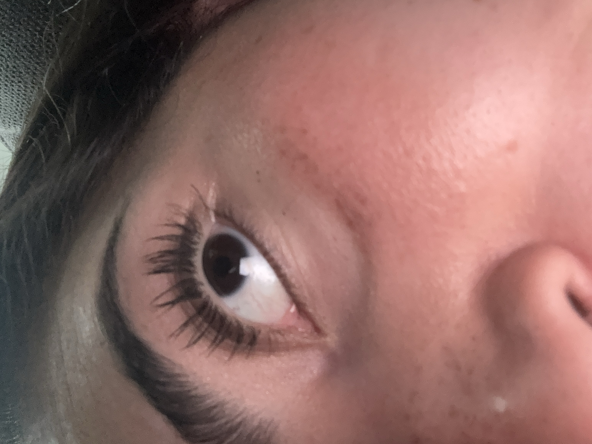 A close-up view of a person's right eye, eyebrow, and part of the nose. The eye is brown, with long, dark eyelashes. The eyebrow is thick and dark. The skin is light-toned, with freckles or moles. The location is not discernible from the image. No actions or interactions are taking place. The environment is not visible.