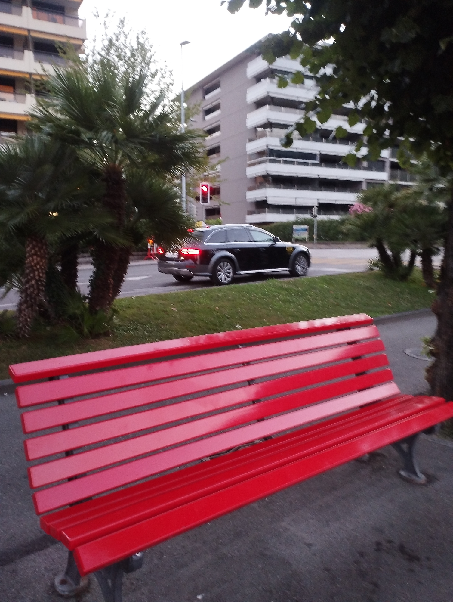 A black Audi station wagon is driving on a wet asphalt road next to a grassy area. Palm trees are visible in the background. A red bench is in the foreground. Buildings are behind the trees. The scene is in Locarno, Switzerland.
