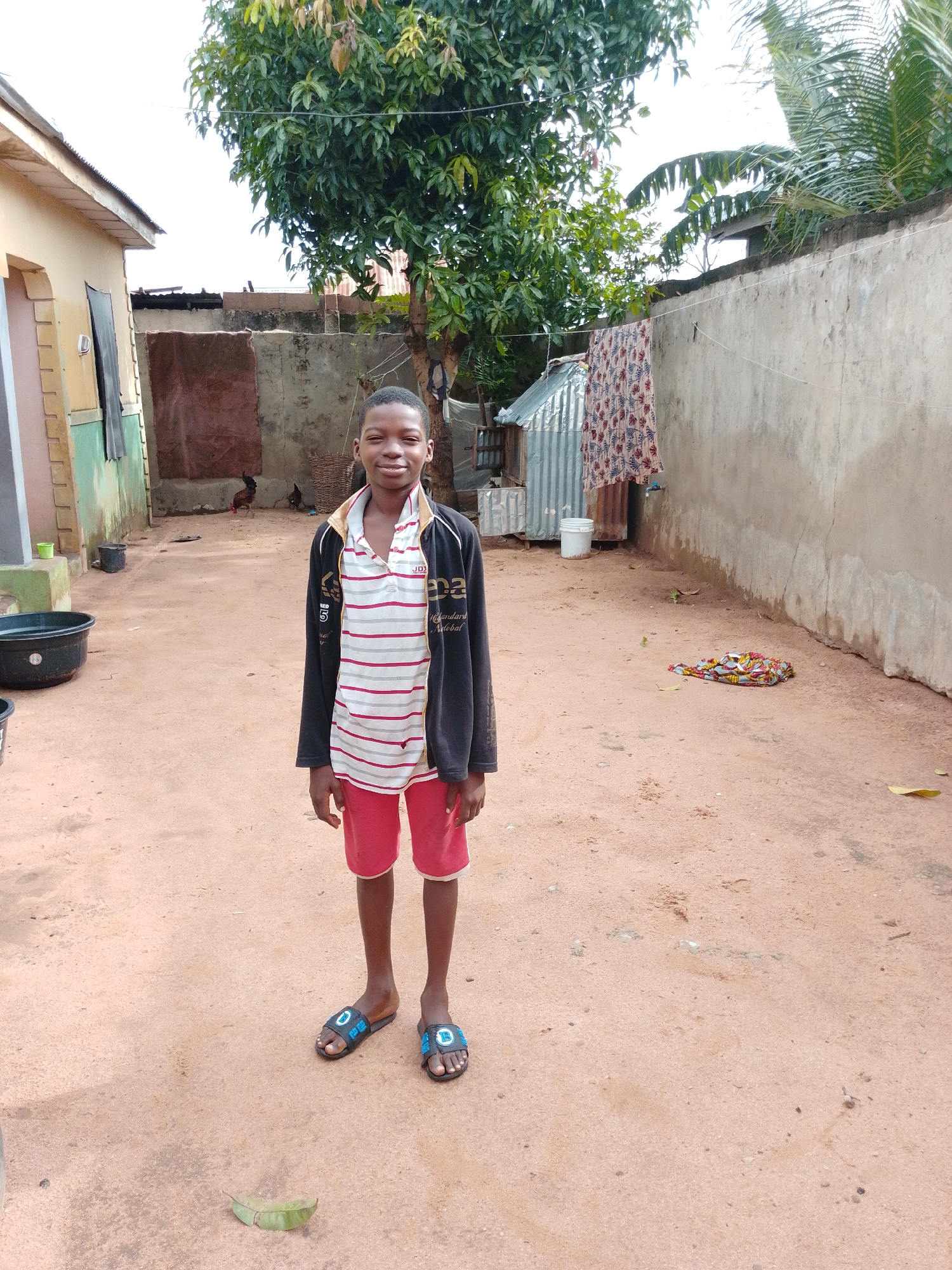 A young boy stands in the center of a sandy courtyard, wearing a black jacket over a striped shirt and red shorts. He is facing the camera with a slight smile. Behind him, a house with a yellow facade and green trim is visible on the left, and a concrete wall runs along the right side of the courtyard. Various objects are scattered around, including a large black basin, buckets, a piece of corrugated metal sheeting, and a pile of colorful fabric on the ground. A tree with lush green leaves provides shade in the background, and several chickens are seen near the house. The scene appears to be in a residential area within the city of Gombe, Nigeria.