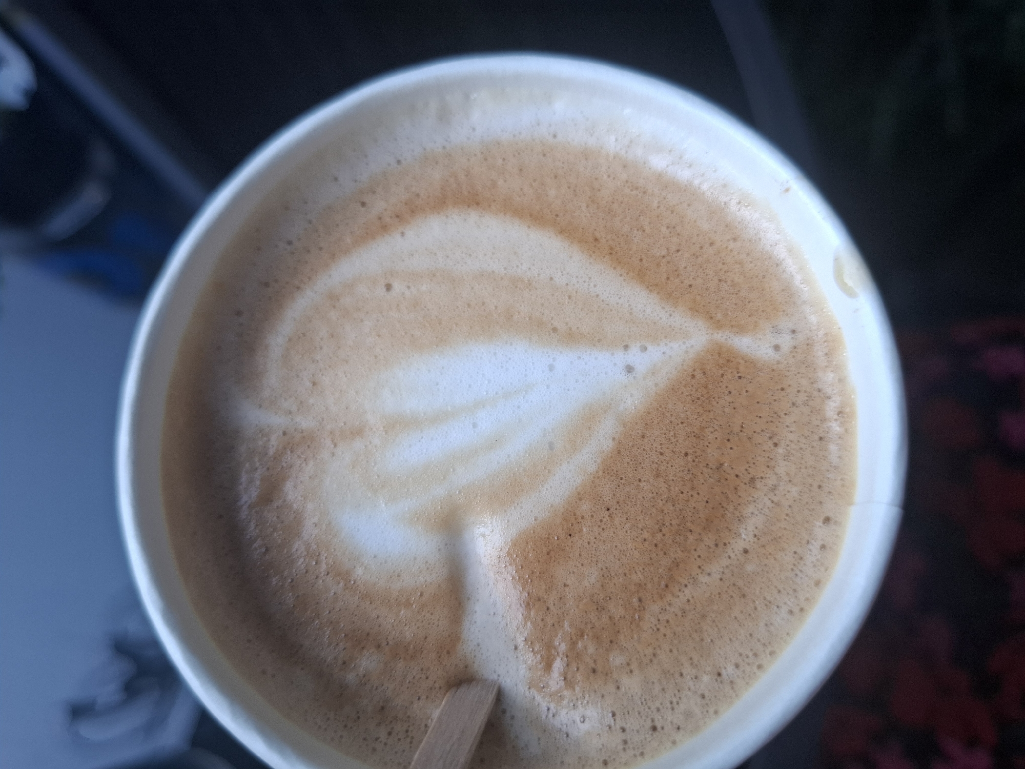 The image displays a close-up view of a coffee cup with latte art. The latte art forms a heart shape on the surface of the milky coffee. A small wooden stirrer is partially visible on the left side of the cup, submerged in the drink. The cup is made of white paper and appears to be a disposable one. The background is dark and out of focus, with hints of dark colors that might suggest foliage or outdoor elements, but it is too blurred to discern specific details. The scene is likely indoors or in a shaded outdoor area given the lighting. There are no people visible in the image. The overall impression is that of a freshly prepared coffee, ready to be enjoyed. The mention of Vadul lui Voda, Moldova is not supported by any visual evidence in the image itself.