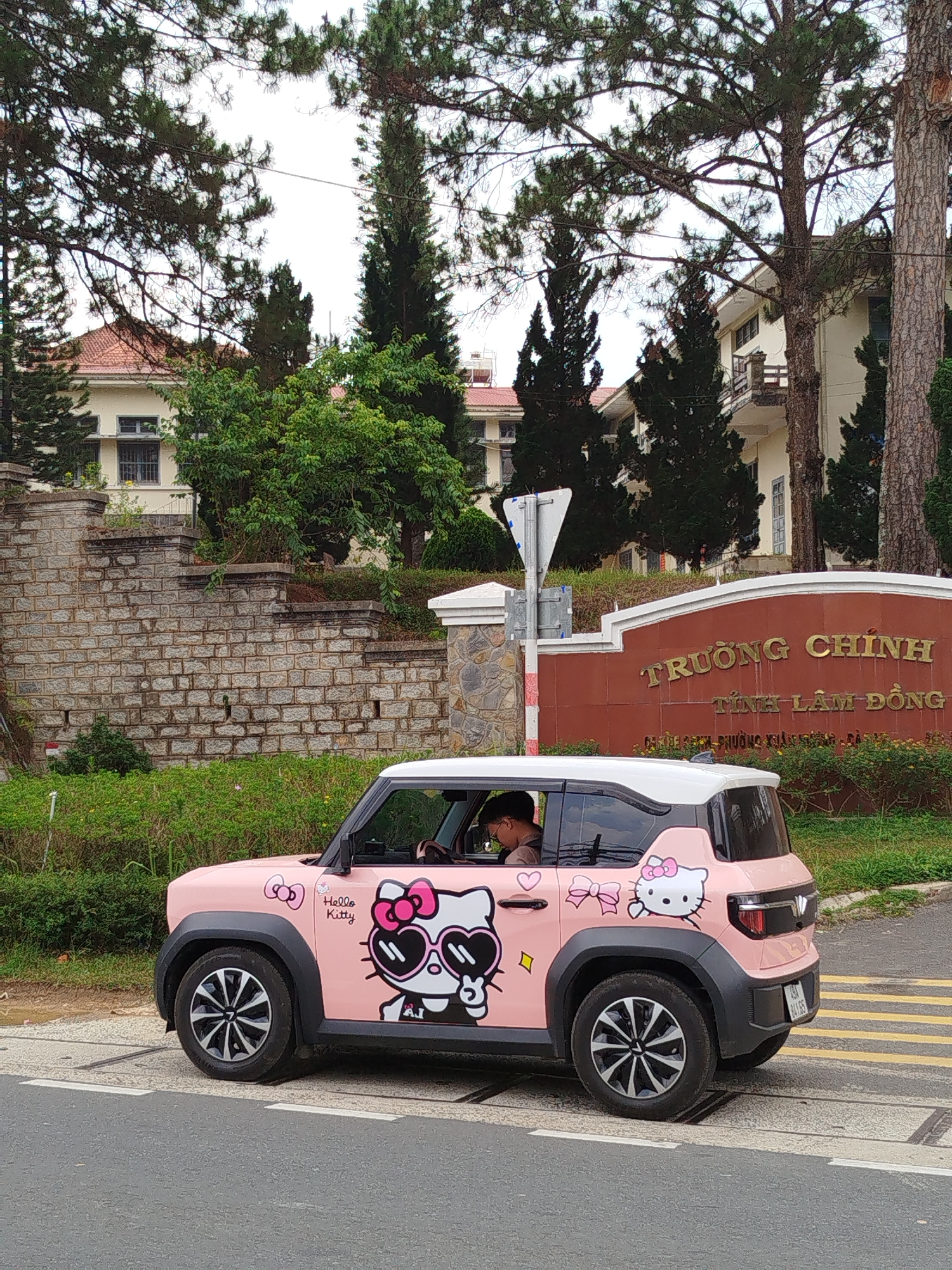An eye-level, outdoor, medium shot depicts a pink Hello Kitty-themed electric car on the right side of an asphalt street, crossing a painted crosswalk. The car is facing left, and a person is visible in the driver's seat. Behind the car and to the right is a sign reading "TRƯỜNG CHINH TỈNH LÂM ĐỒNG." This location is in Da Lat, Vietnam. Behind the sign is a two-story building. A stone wall runs parallel to the street to the left of the sign. Mature trees dot the scene, and the sky is overcast.