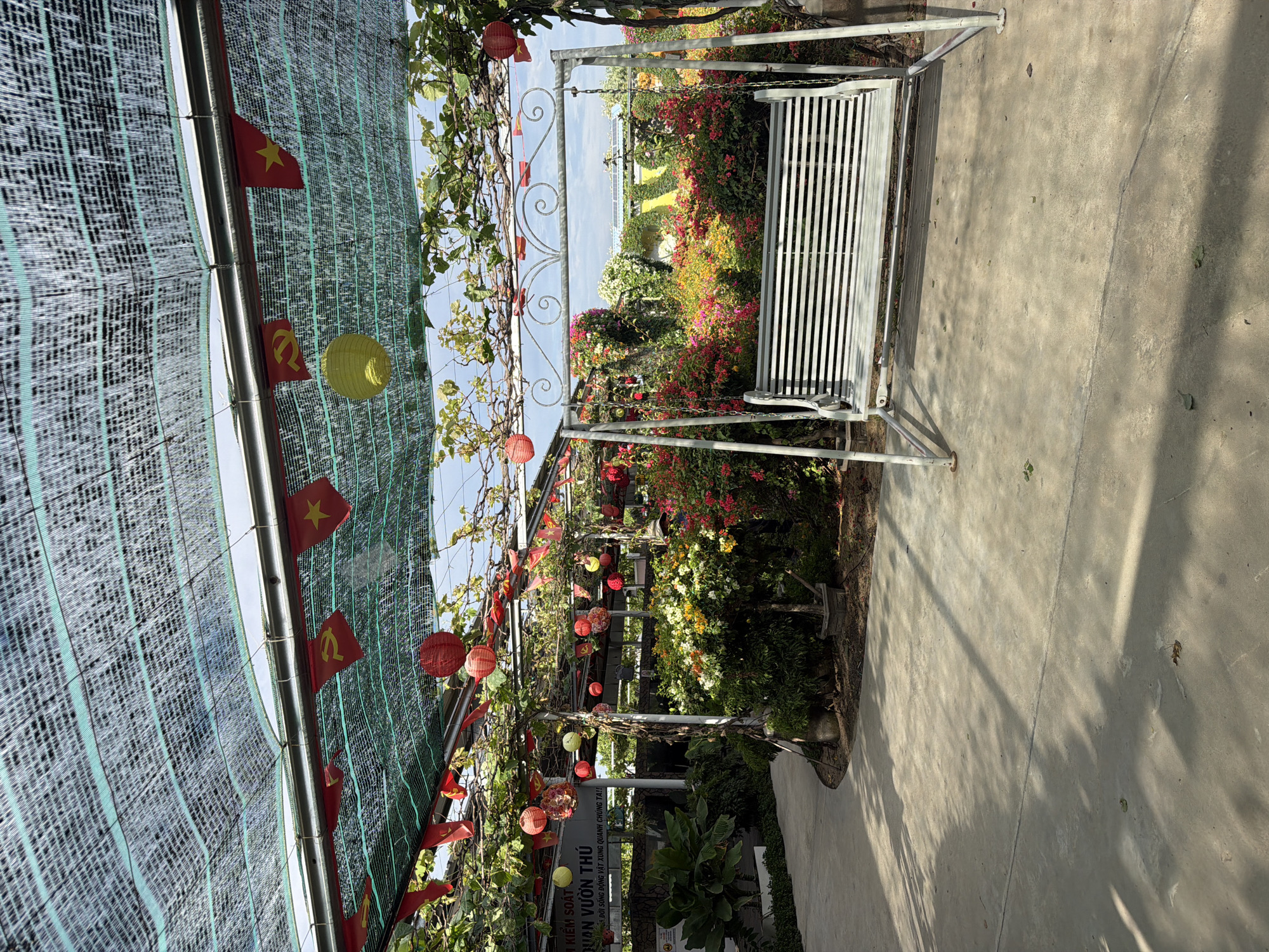 This image captures a vibrant and decorated outdoor walkway, likely in a garden or a zoo setting, under bright daylight. The scene features a concrete path extending from the foreground into the midground, flanked by lush, colorful flowering plants and greenery.
Overhead, a green mesh shade netting is stretched across a metal framework, creating a shaded canopy. Small Vietnamese flags (red with a yellow star) and flags bearing the hammer and sickle symbol are strung along the metal beams of the canopy. Various red and yellow paper lanterns are also hung as decorations, adding to a festive atmosphere. Vines with green leaves are growing over parts of the pergola structure.
To the right, a white or light-colored metal garden swing with a slatted seat and back is visible, positioned on the concrete path. Beyond the swing and the immediate covered area, a dense array of bright red, pink, yellow, and white flowering bushes and trees creates a picturesque backdrop. The sky is visible in patches through the netting and foliage, indicating clear weather. The sunlight casts shadows on the concrete path, suggesting a bright day.
Visible text on a sign, partially obscured by foliage, reads: "- KIỂM SOÁT", "QUAN VƯỜN THÚ", and "ĐỜI SỐNG ĐỘNG VẬT XUNG QUANH CHÚNG TA!!". This translates to "CONTROL", "ZOO VIEW/GARDEN", and "ANIMAL LIFE AROUND US!!", strongly suggesting the location is part of a zoo, animal park, or a related natural exhibit in Phước Hải, Vietnam. No people are present, allowing the focus to remain on the decorated outdoor space and natural beauty.