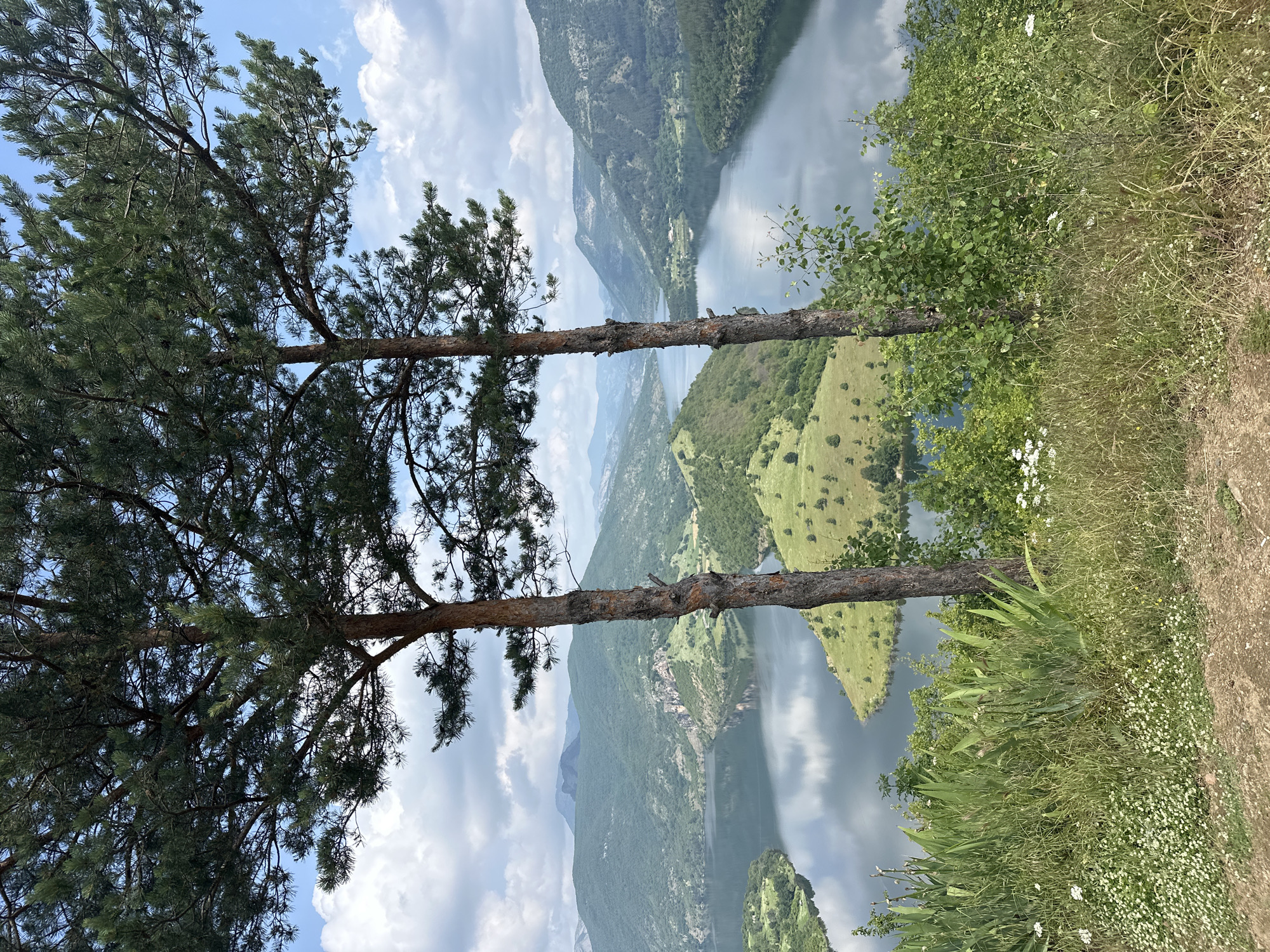 This image presents a breathtaking natural landscape, likely captured in Borovitsa, Bulgaria, from an elevated perspective. The scene is dominated by a vast body of water, possibly a reservoir or a winding lake, nestled amidst a dramatic mountainous backdrop.
In the immediate foreground, two tall, mature coniferous trees, likely pine, stand prominently on the left, their rugged trunks and dense green foliage framing the expansive view. To the right, the ground slopes downwards, carpeted with various green grasses, shrubs, and delicate white wildflowers, suggesting a vibrant, natural ecosystem.
The central feature is the tranquil water, which acts as a vast mirror, reflecting the blue sky and scattered white clouds, as well as the inverted image of the surrounding forested mountains. The waterway snakes through valleys, bordered by steep, densely wooded hillsides that stretch into the distance. A small cluster of buildings or a village can be faintly observed on the far bank of the water body, indicating a subtle human presence within the otherwise wild environment.
The background is composed of successive layers of mountains, their forms softening and hues becoming lighter with distance, contributing to a sense of depth and scale. The sky above is a clear, bright blue, punctuated by fluffy white cumulus clouds.
The photograph was taken during daytime, likely late morning or early afternoon, under fair weather conditions with calm water. The absence of people emphasizes the unspoiled beauty and serenity of the natural environment. No text is visible in the image. The overall impression is one of peaceful grandeur and immense natural beauty.