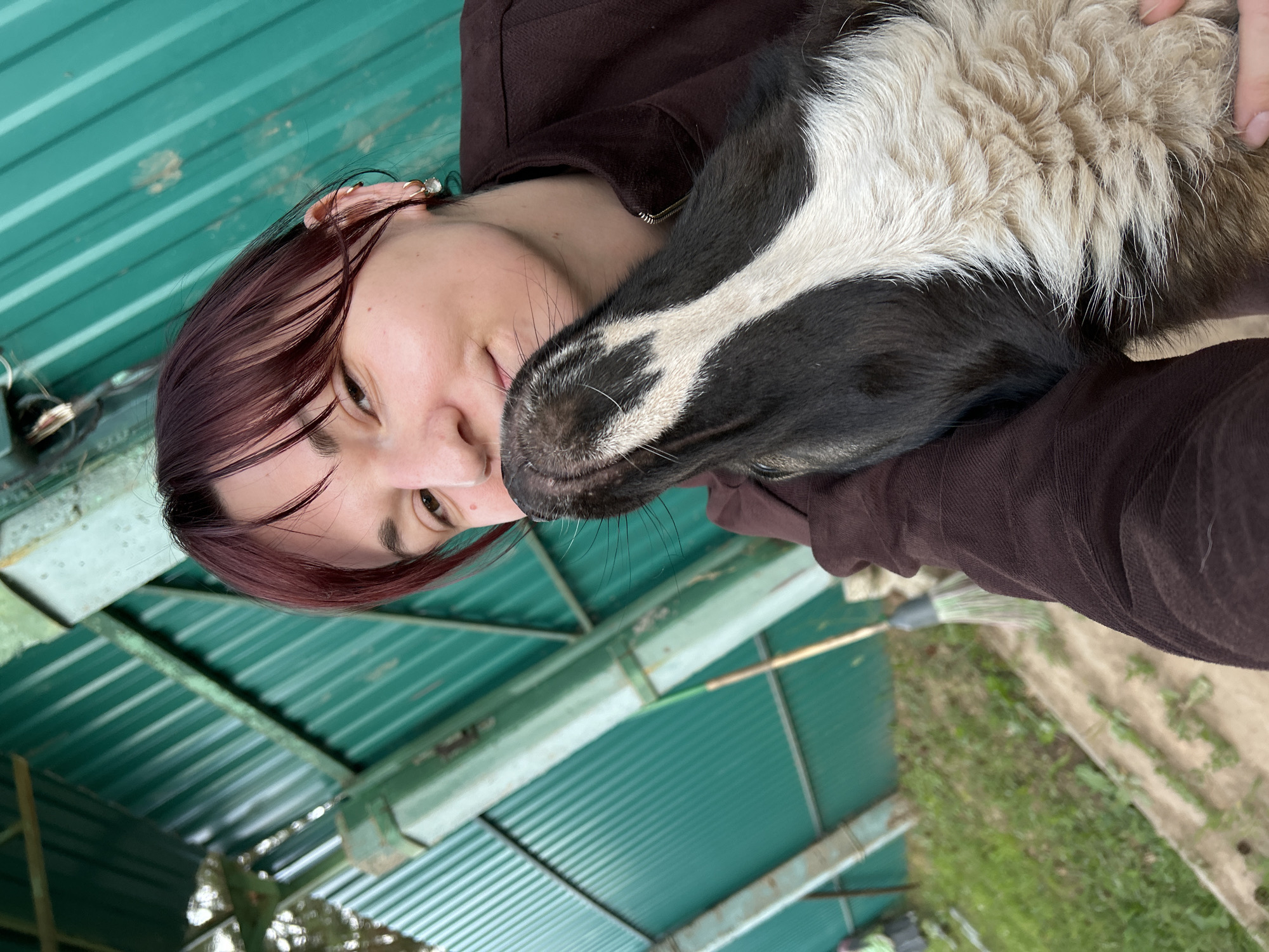 This media file features a close-up, overhead shot of a person and a dog. The person, with reddish-brown hair and wearing a dark brown hooded top, is resting their head against the dog. The dog's face is black and white, with its head positioned over the person's cheek and shoulder. The scene appears to be outdoors, with a corrugated green metal roof visible in the background, suggesting a covered outdoor area like a porch or shed. The lighting indicates it is daytime, with soft, natural light. The overall mood seems relaxed and affectionate, with the person and dog in close proximity. There is no visible text in the image. The location is identified as Фоки, Russia.