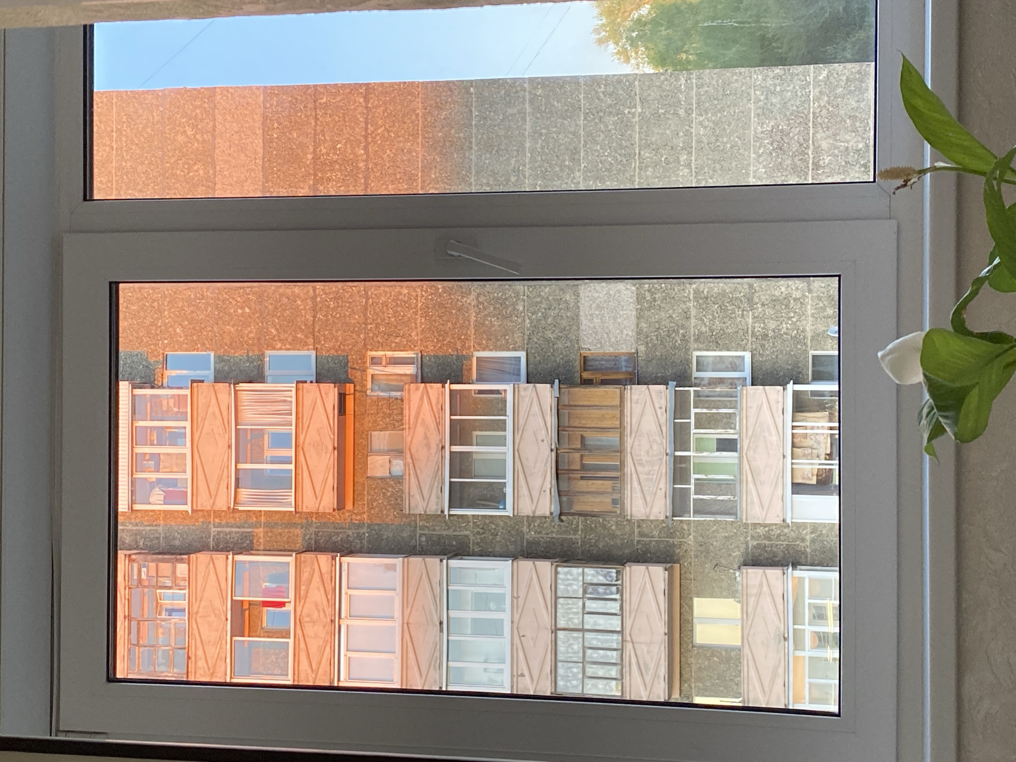 The image depicts a view from a window in Votkinsk, Russia. The window frame is white, and through the glass, a building facade is visible across the street. The building has multiple windows with a variety of shutters, some open and some closed. The building's exterior has a mixed coloring of orange and gray. A plant with green leaves and a single white flower is visible on the right side of the window frame, inside the room. The sky is visible in the upper portion of the image.