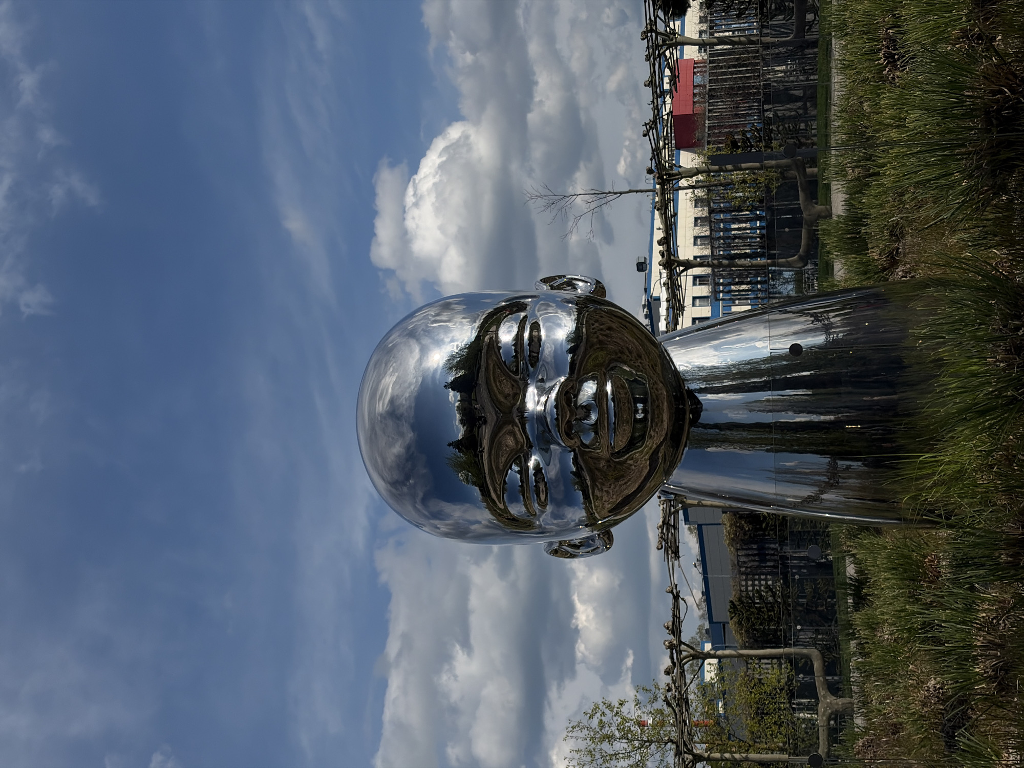 A large, highly reflective chrome or polished metal sculpture of a human head and upper shoulders stands outdoors under a bright, partly cloudy sky. The sculpture's smooth, mirrored surface prominently reflects the blue sky with white clouds, as well as the surrounding environment. The head features simplified, stylized facial details, appearing to gaze forward.
The foreground consists of green grass and other low-lying vegetation. In the mid-ground and background, behind the sculpture, several trees with varying degrees of foliage (some bare, some with early spring leaves) are visible. Beyond the trees, structures resembling multi-story buildings with windows and architectural lines can be seen. The overall scene depicts a sunny day in what appears to be an urban park or public space where the sculpture is displayed. There is no visible activity or text in the image.