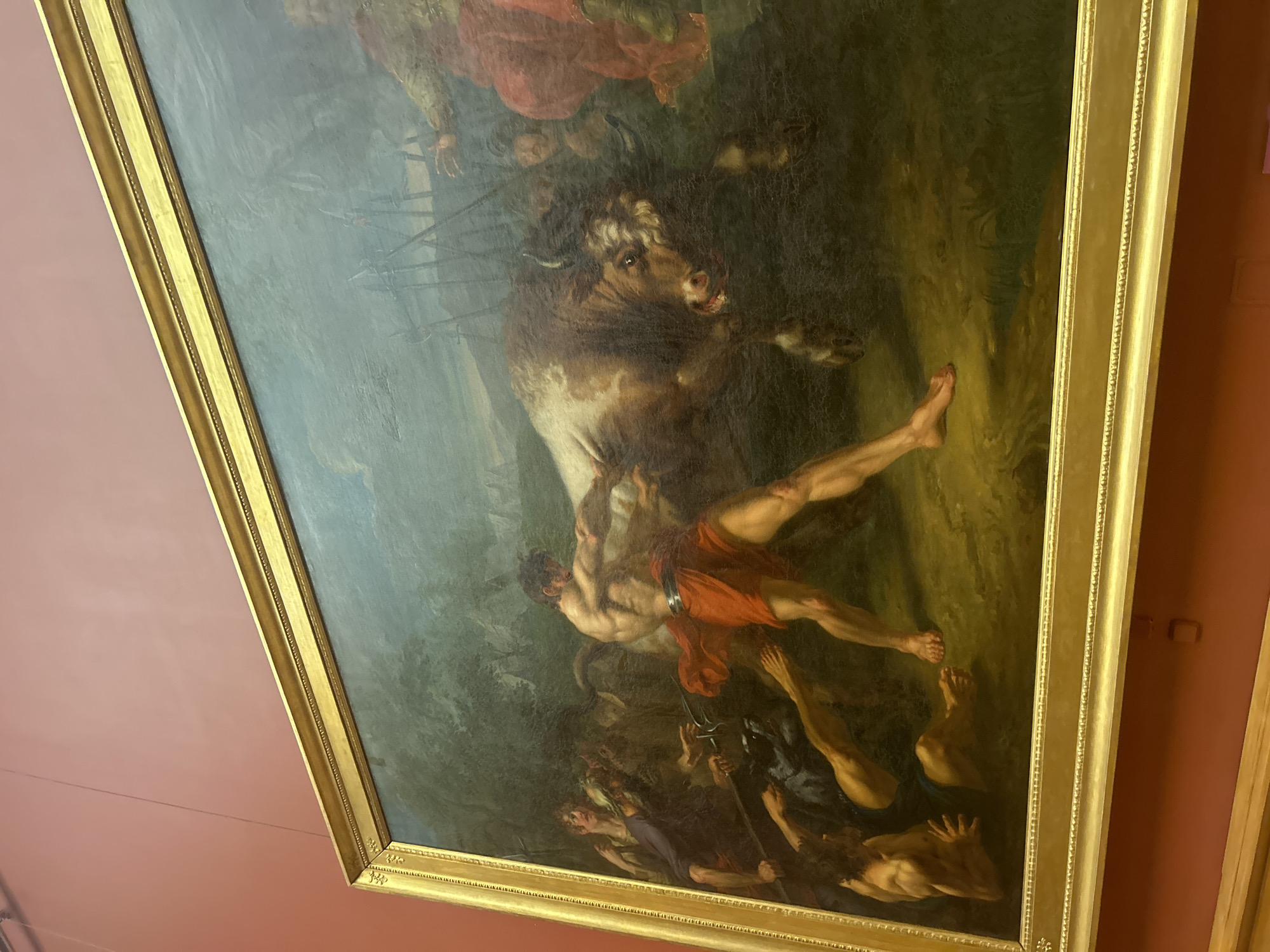 This is a painting displayed in the State Hermitage Museum in Saint Petersburg, Russia. The painting depicts a chaotic scene of several muscular men struggling to control a large, brown and white bull. One man, wearing a red loincloth, is at the forefront, pulling the bull's head with his right arm and left hand. His body is contorted in a powerful stance. To his left, other men are actively engaged in the struggle. One man, with a long gray beard, wields a trident-like weapon, while another figure in the foreground is on the ground, reaching out with an arm. In the background, more figures and a hint of a landscape with trees are visible. The overall impression is one of intense physical exertion and a battle between man and beast.