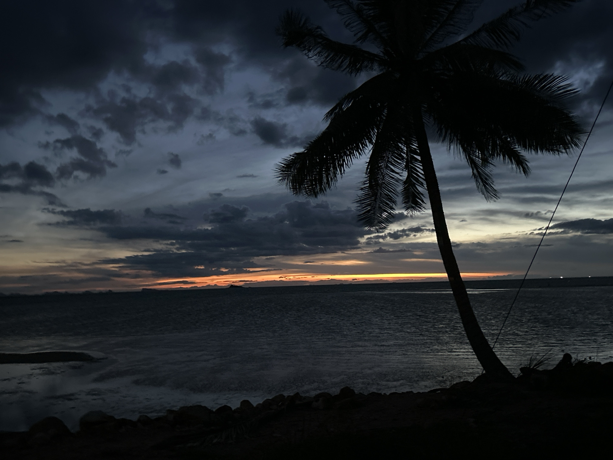 The image depicts a sunset scene in ตำบลเกาะพะงัน, Thailand, with a silhouetted coconut palm tree in the foreground. The sky is filled with dark, textured clouds, with a narrow strip of orange and yellow visible on the horizon. Below the horizon is a body of water, likely the sea, with faint lights visible in the distance on the right side. The foreground features a rocky shoreline in deep shadow. A thin, dark wire is visible extending from the top right corner towards the tree.