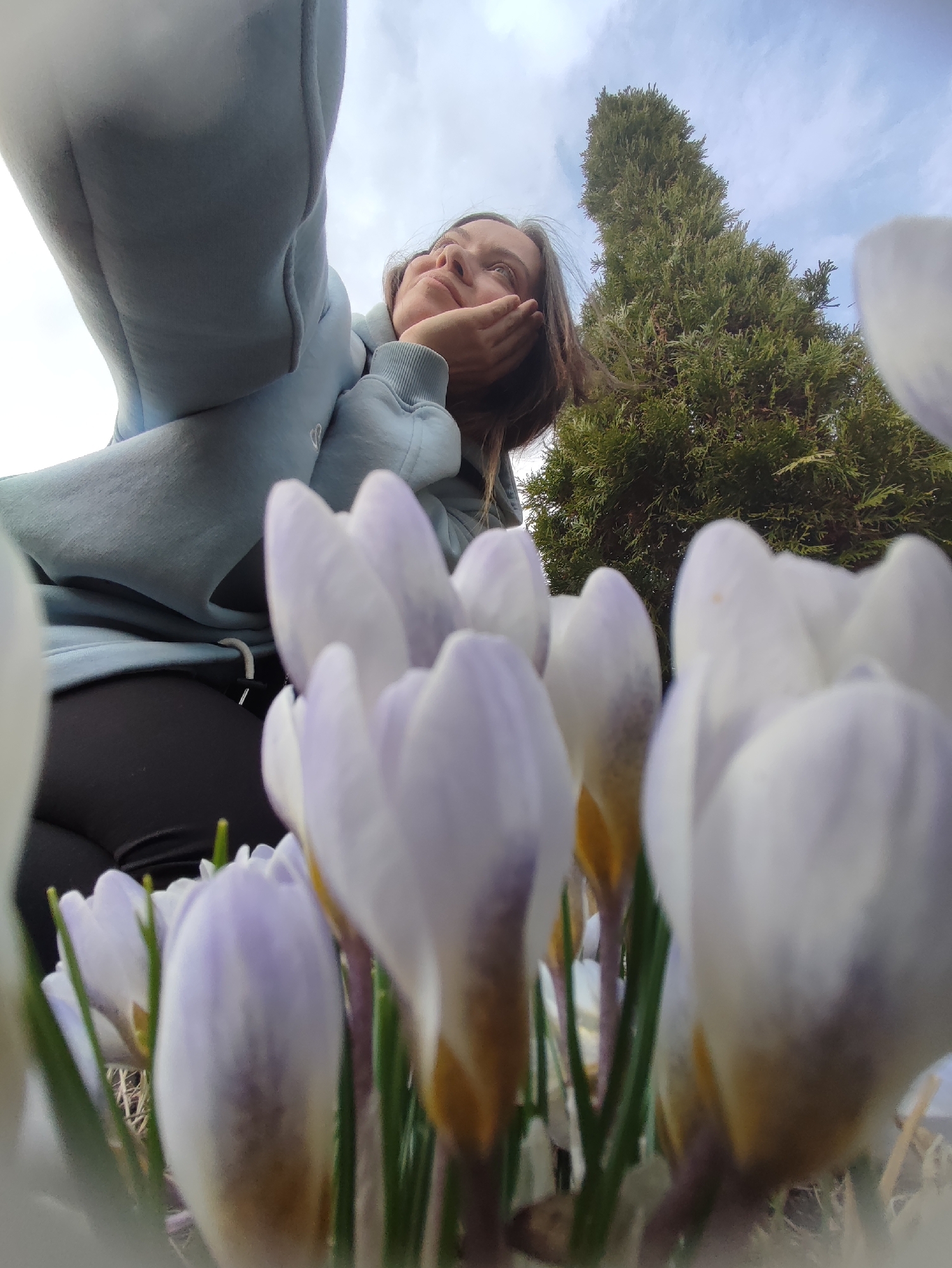 A low-angle, worm's-eye view captures a young woman amidst a cluster of spring flowers in an outdoor setting, likely in Фоки, Russia. The woman, positioned in the upper-left and central-right of the frame, is seen from below, appearing to be crouching or kneeling. She wears a light blue hooded sweatshirt and dark leggings. Her head is tilted upwards, and she rests her chin on her hand, gazing thoughtfully or contemplatively into the sky.
The foreground is filled with numerous white and light purple crocuses, which are in sharp focus. Their delicate petals are partially open, revealing hints of yellow or orange inside. These early spring flowers dominate the lower half of the image, with green stems and some dry grass or mulch visible around their bases.
In the background, a tall, conical evergreen tree or bush stands prominently to the right, reaching towards the sky. The sky itself is light blue with scattered white clouds, indicating a daytime scene with bright, soft light, suggesting either morning or late afternoon. The overall impression is one of peaceful observation and appreciation for the arrival of spring. There is no visible text in the image.