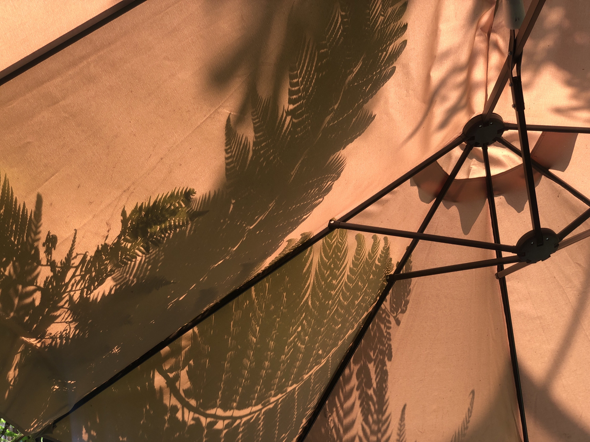 The image shows the underside of an outdoor umbrella, likely made of a light-colored fabric. Shadows of fern-like foliage are cast across the umbrella's surface. The umbrella's metal frame is visible. Location data is not contained in the image.