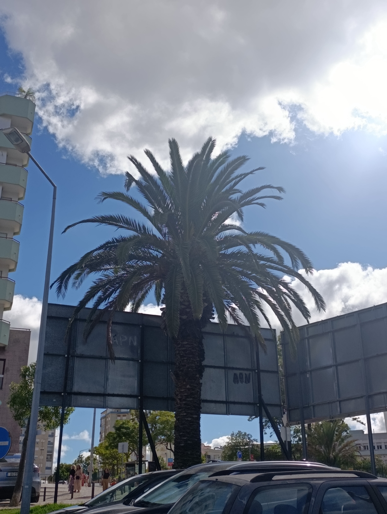 The image captures a sunny day in Setúbal, Portugal, with a prominent palm tree dominating the center. The sky is a vibrant blue with scattered white clouds. To the left, a light green building with multiple balconies is visible. In the foreground, the hoods of several cars are present. Behind the palm tree, large, grey rectangular structures, possibly billboards or sound barriers, are erected. Through an opening in these structures, a street scene is visible with several people walking. The sun is shining brightly, causing some lens flare in the upper right corner of the image.