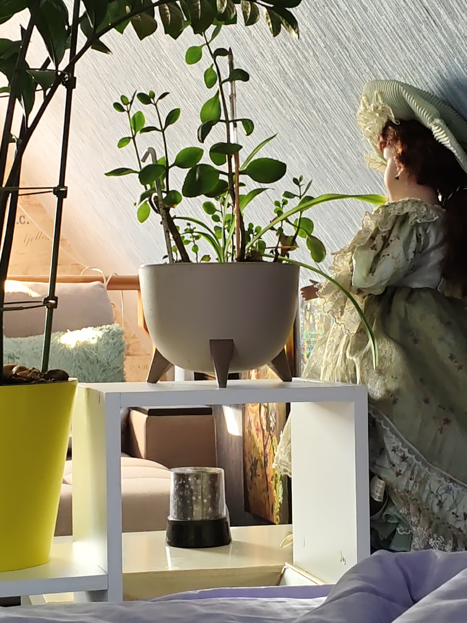 The image shows an indoor scene with a doll and several potted plants. A doll in a vintage-style pale green dress with lace trim and a wide-brimmed hat is positioned to the right, facing away from the camera. In front of the doll, a light gray planter with a jade plant is placed on a white shelf. To the left of the planter, a tall, bright yellow pot contains another plant with dark soil. Behind the plants and doll, a textured wall is visible, illuminated by natural light. The setting appears to be a residential interior, possibly a room in Olginskaya, Russia, given the context provided.