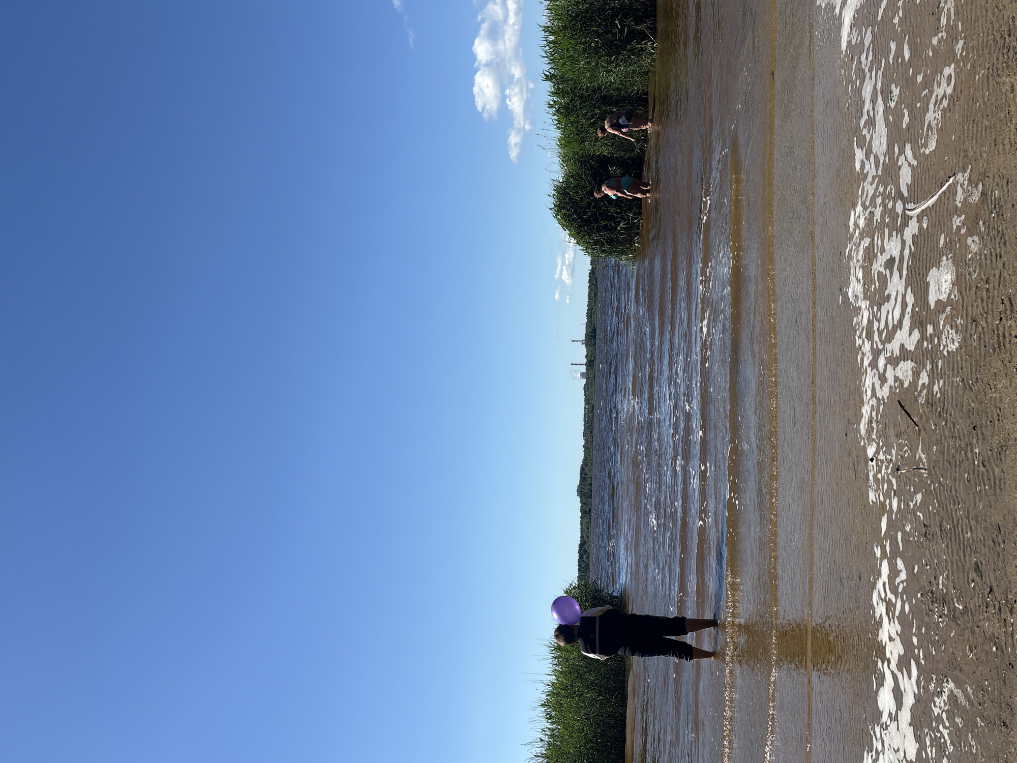 A wide shot of a sunny day at the Neva River in Saint Petersburg, Russia. The sky is a clear blue with a few wispy white clouds. The foreground shows the sandy bank of the river with gentle waves lapping at the shore. Two figures, appearing to be children, are partially submerged in the water to the right, amidst tall green reeds. Further to the left, a person wearing dark pants and a vest stands facing the water, holding a purple balloon. In the distance, across the river, is a forested shoreline with industrial smokestacks visible on the horizon. The water is a muddy brown, reflecting the sky and surrounding greenery.