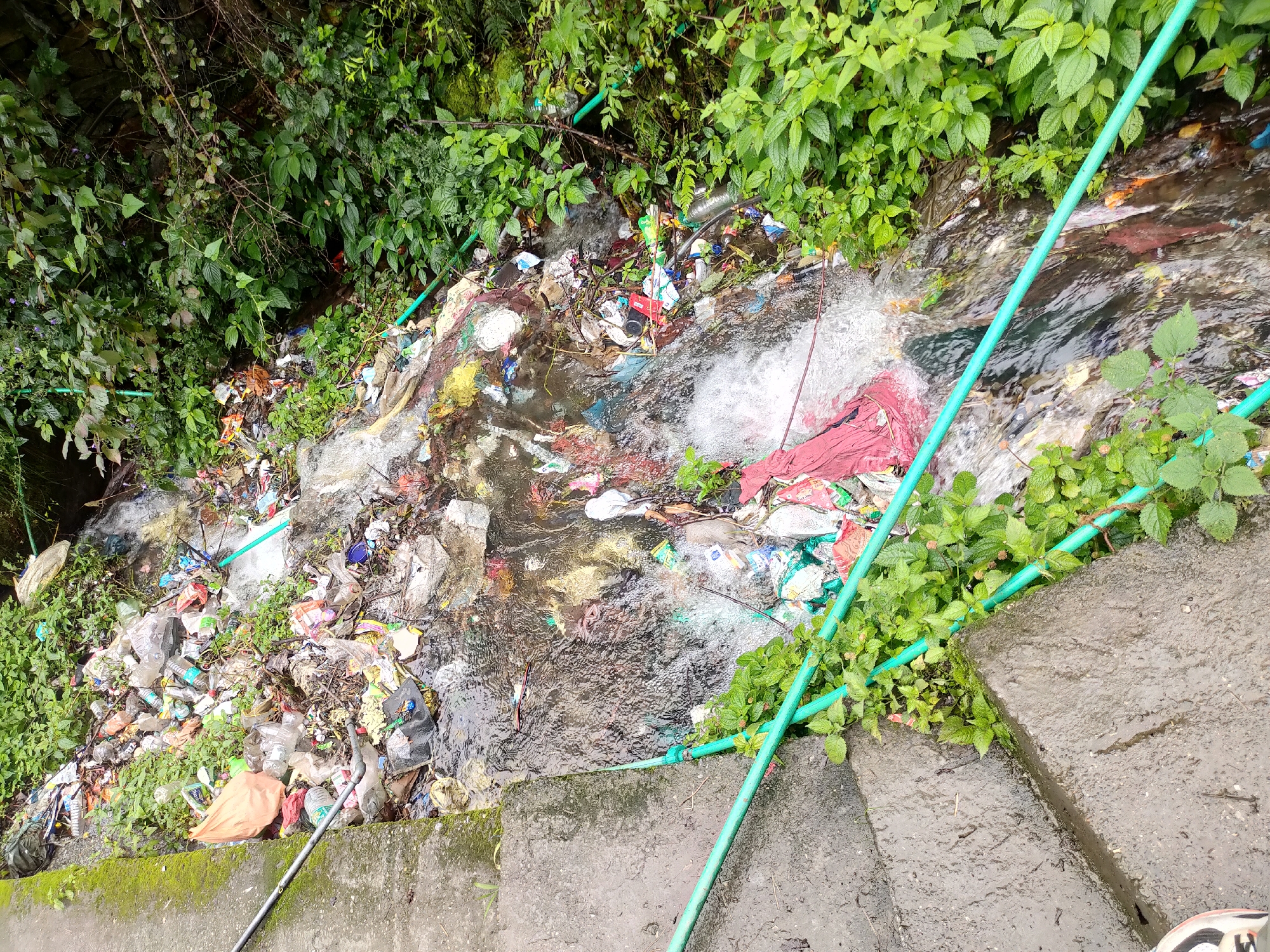 In Siyal, India, a stream is heavily polluted with a large accumulation of garbage. The debris consists of plastic bottles, wrappers, bags, fabric scraps, and other miscellaneous waste. The water appears murky and is flowing over and around the trash. Lush green vegetation borders the stream on the left and top of the image. Two green hoses are visible, one submerged in the stream and another running along the edge. The right side of the image shows concrete steps and embankment. No people are present in the scene.