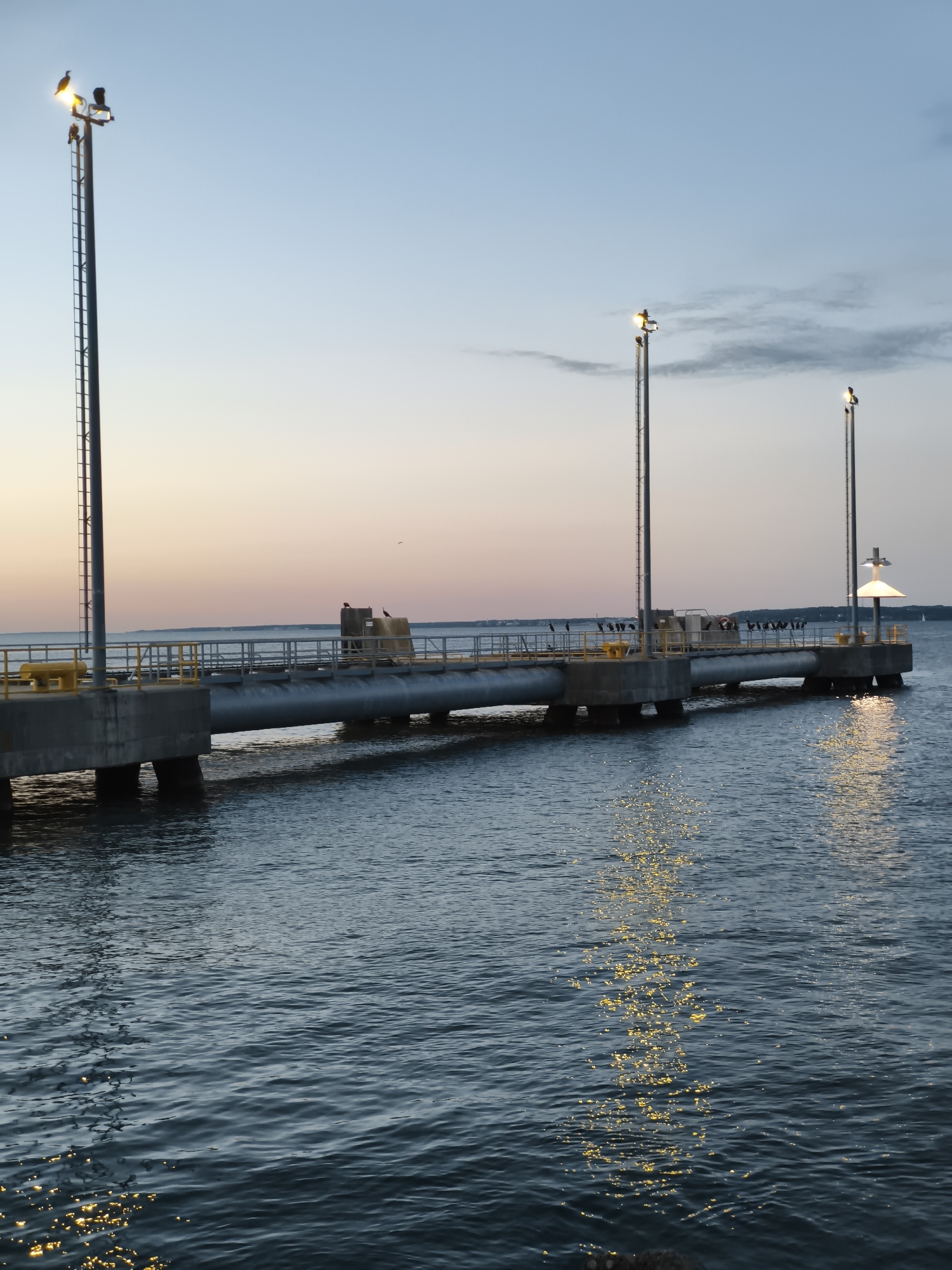 The image shows a pier at dusk extending into the water. There are several tall lampposts along the pier, some with lights on, and some birds are perched on them. The pier is made of concrete pilings and a metal walkway with railings. The water is calm with reflections of the lights. In the distance, a shoreline with trees and buildings is visible, and the sky is a gradient of blue and pink. The specific location in Tallinn, Estonia, cannot be determined from the image alone.