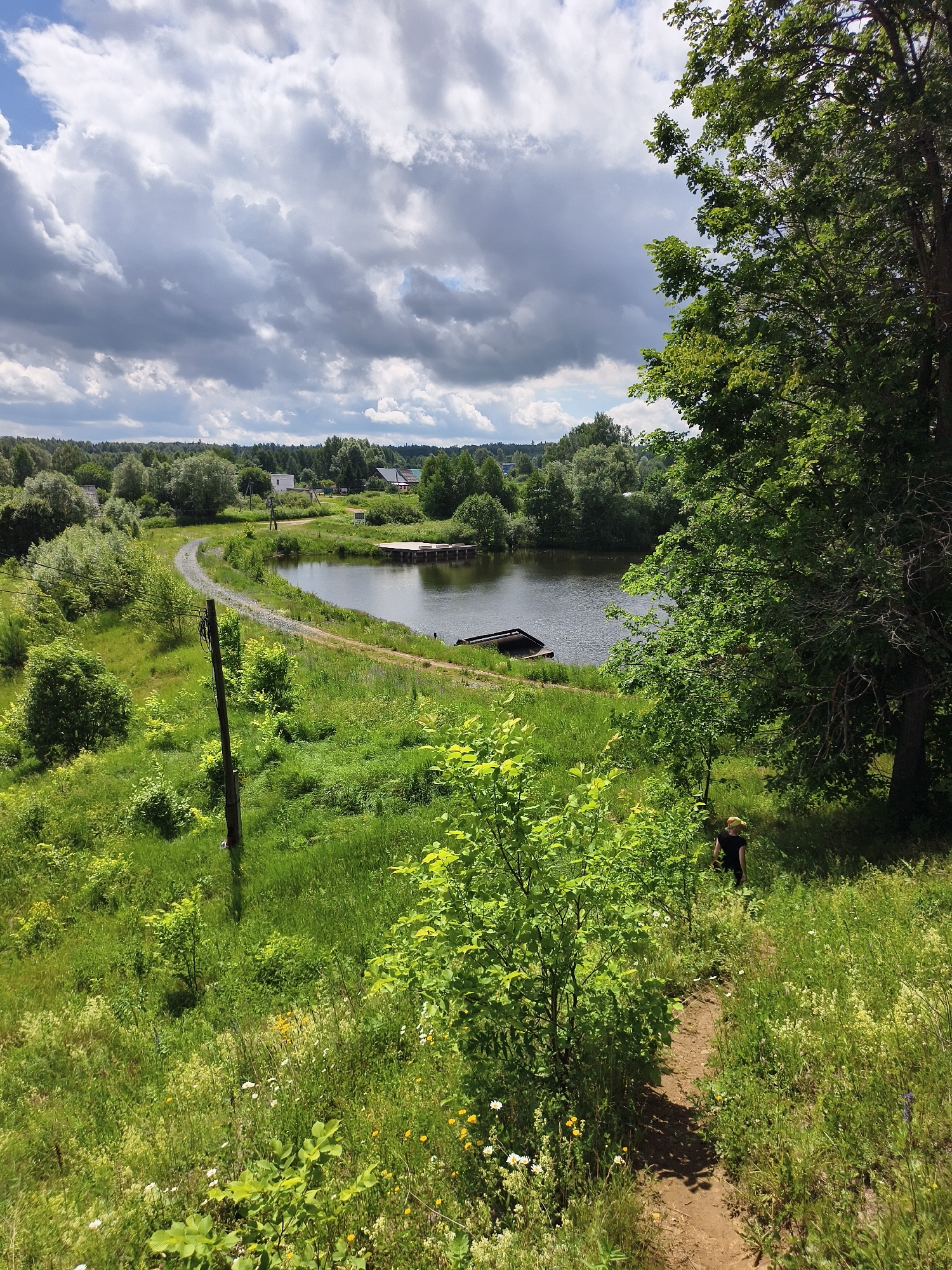 The image depicts a serene, verdant landscape with a prominent body of water, likely a lake or pond, reflecting the overcast sky. A dirt path winds through lush green grass, dotted with wildflowers. In the distance, several buildings, possibly houses, are nestled amongst trees, suggesting a rural or semi-rural setting. A large, mature tree with dense foliage dominates the right side of the frame, casting a shadow on the path. A single individual wearing a dark top and a yellow hat walks away from the viewer down the path. The scene appears to be located in Zavod Mikhailovskii, Russia, characterized by its natural beauty and tranquil atmosphere.