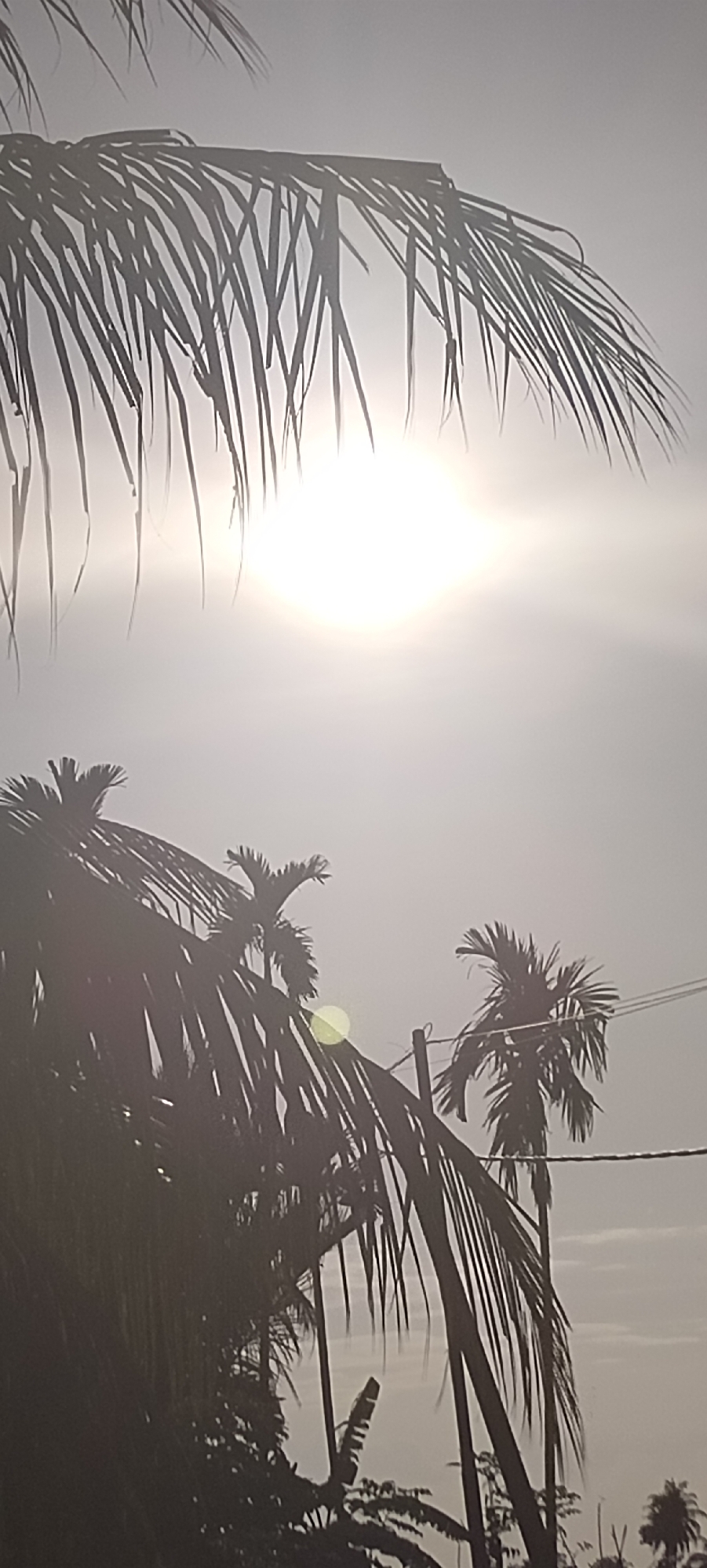 The image shows several trees, some appearing to be palm trees, silhouetted against a bright, hazy sky. The sun is visible and intensely bright. Power lines are also visible. The location is Meunasahalue, Indonesia. No people are visible in the image.