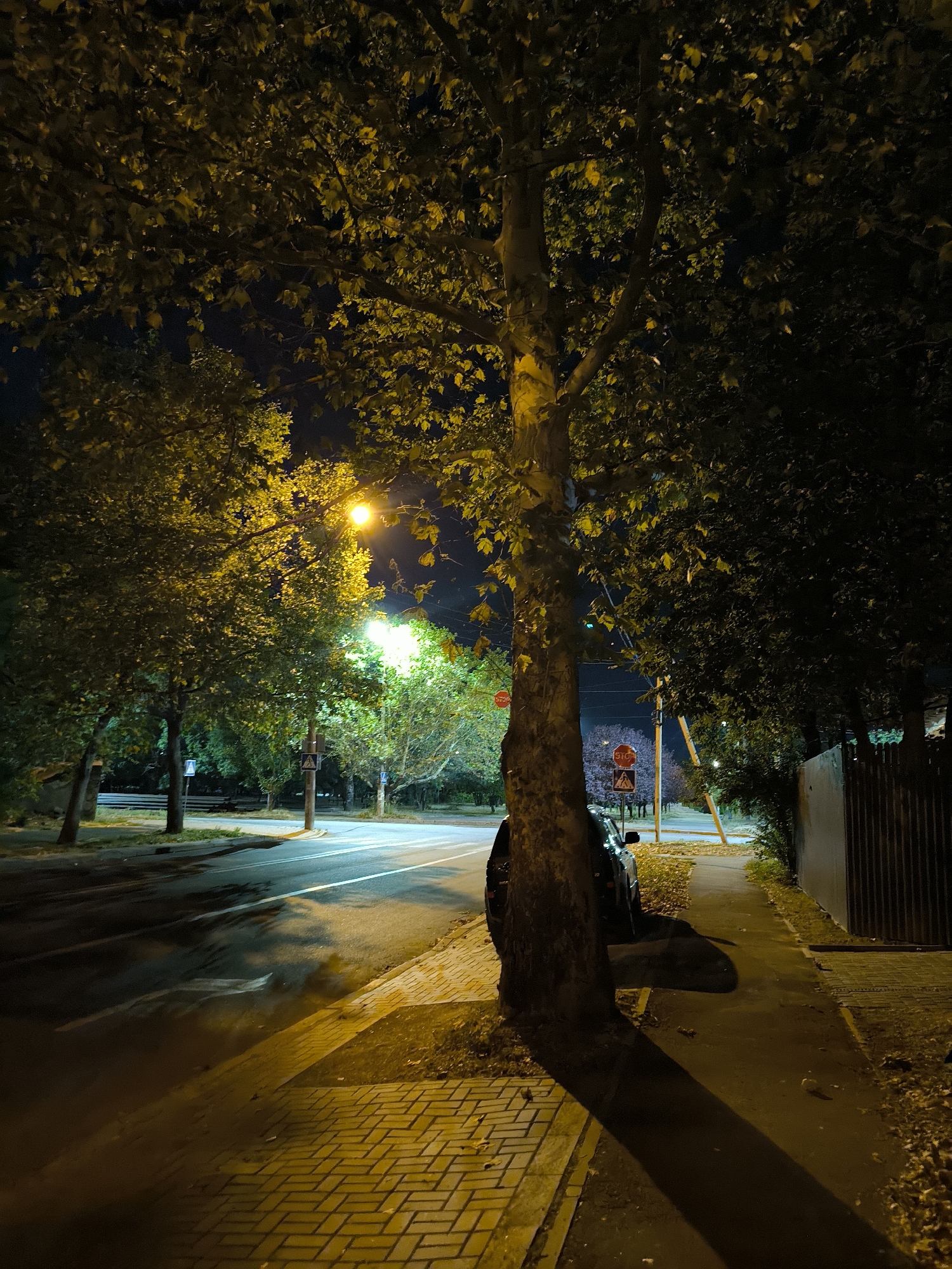 The image depicts a nighttime scene on a city street, likely in Mykolaiv, Ukraine. A large tree with yellowing leaves dominates the foreground, casting a long shadow across a brick sidewalk. To the left of the tree, a street is visible, illuminated by streetlights and reflecting some light from a nearby building or light source. The wet appearance of the road suggests recent rain. A parked black car is partially visible behind the tree, and further down the street, there are more trees and streetlights. Two red stop signs are visible in the distance, one on a pole and another attached to a traffic sign. A pedestrian crossing sign is also present. The overall atmosphere is quiet and somewhat deserted, characteristic of a city street late at night.