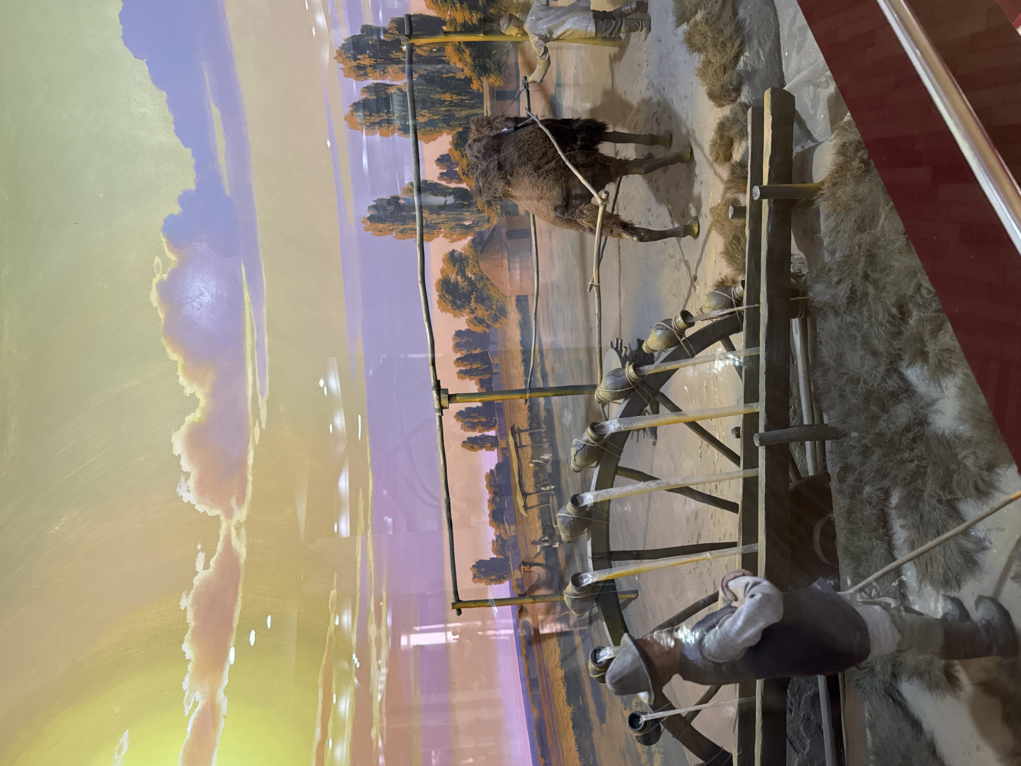 This is a diorama depicting a historical scene, likely set in Almaty, Kazakhstan, given the visual context. In the foreground, a model of a person wearing a hat, vest, and boots stands holding a long stick. In front of this figure is a water wheel with several buckets, from which water is being poured. Behind the water wheel, a camel is harnessed to a mechanism, with a second model of a person guiding it. Further in the background, there are several structures, including round huts and a larger building, along with trees and a barren landscape. The sky is painted with sunset colors, featuring yellow, orange, pink, and purple hues with clouds. The diorama appears to be displayed behind glass, as evidenced by reflections.
