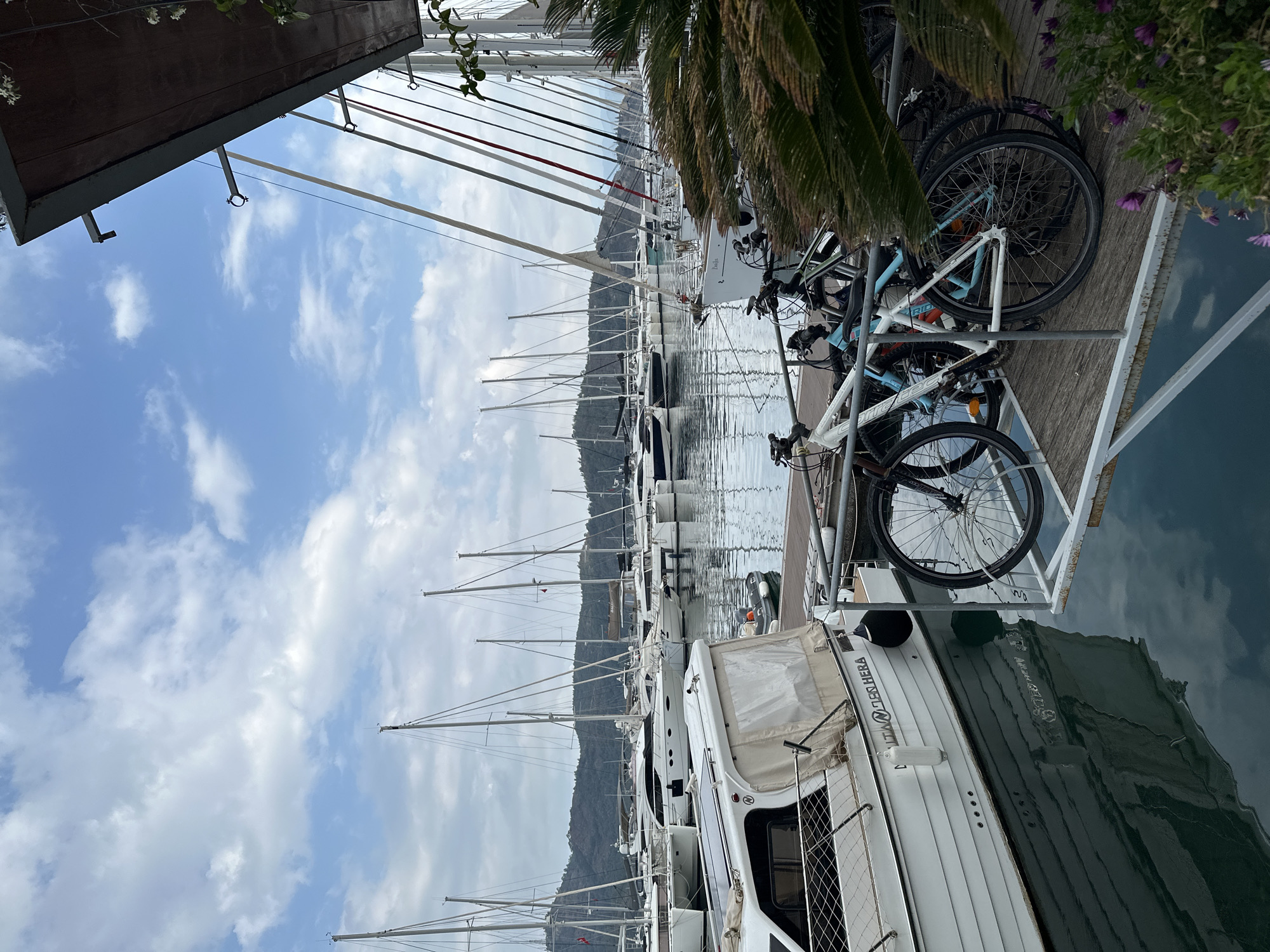 The image shows a marina scene, possibly in Fethiye, Turkey. Multiple masts of sailboats extend upwards toward a partly cloudy sky. The water reflects the sky and masts, creating a mirror image. In the foreground, bicycles are parked on a wooden dock adjacent to a white motorboat. Lush foliage, including palm leaves and flowering plants, is present along the dock. A mountain range appears in the background.