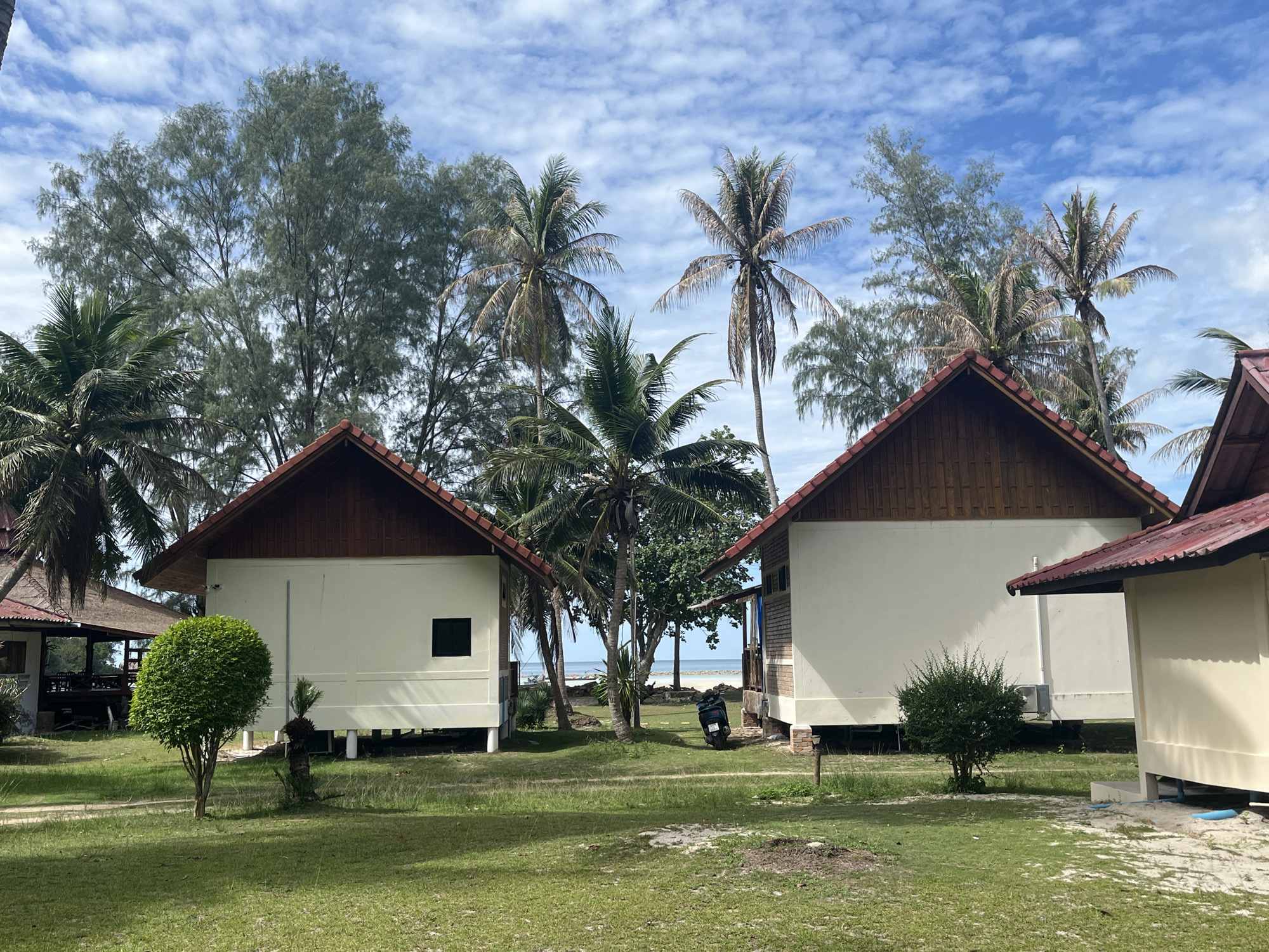 This image depicts a cluster of bungalows situated on a grassy area with sandy patches, characteristic of a tropical beachside resort. The bungalows, elevated on stilts, feature cream-colored walls and reddish-brown tiled roofs. Two bungalows are prominently visible in the foreground, with a third bungalow's roof extending into the right side of the frame. Beyond the bungalows, tall palm trees and other lush green foliage create a dense backdrop against a bright blue sky dotted with scattered white clouds. In the distance, a glimpse of the ocean can be seen, suggesting a coastal location. A motorcycle is parked on the grass between the bungalows, and a small, well-manicured shrub is positioned in front of the left bungalow. The scene conveys a serene and relaxed atmosphere, likely in a tourist destination. The location is identified as Ko Pha Ngan, Thailand.