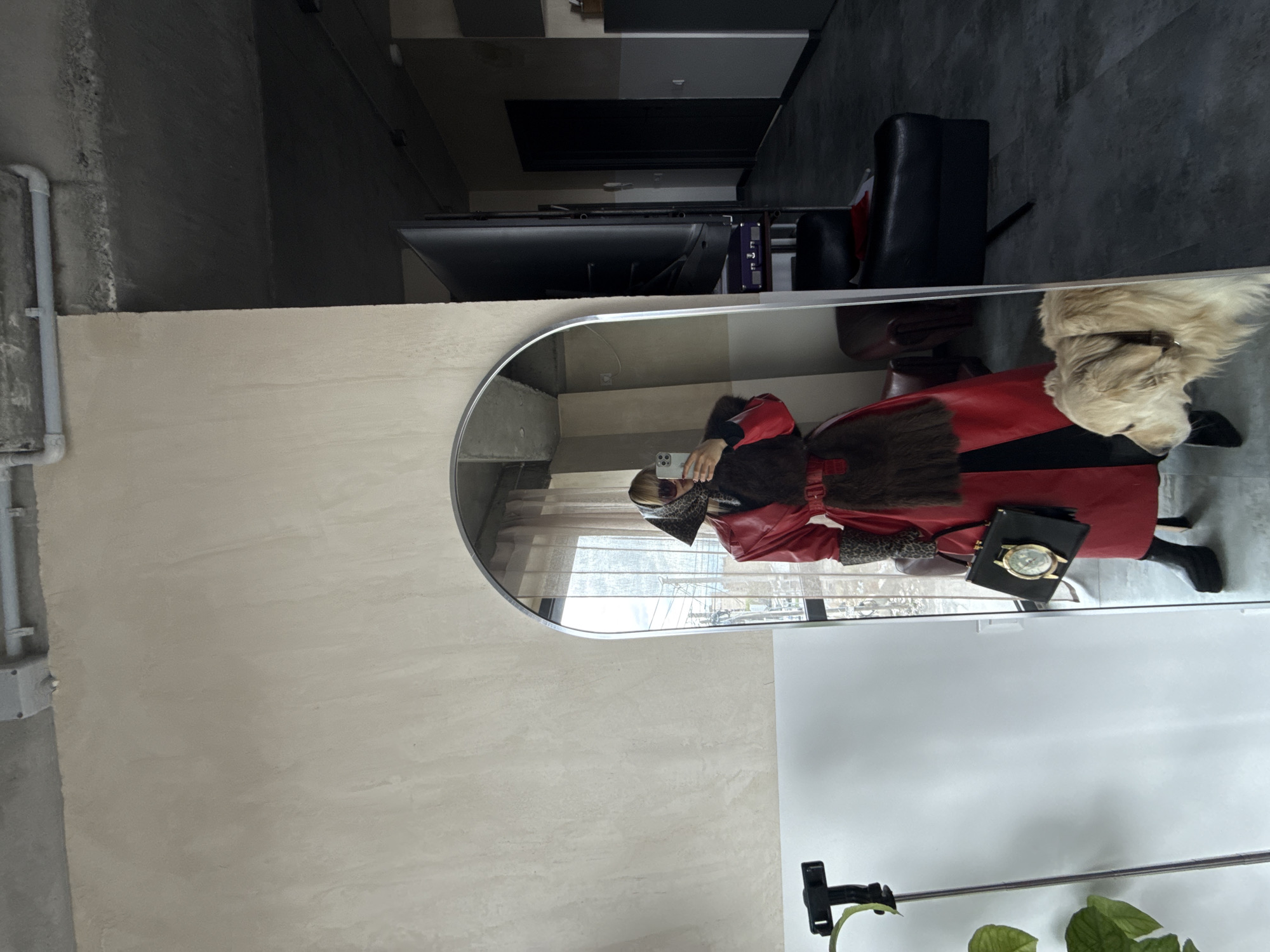 A person dressed in a red coat with a fur collar and carrying a black purse is reflected in a mirror. A light-colored dog is standing nearby. The mirror is placed against a beige wall, next to a white surface and a plant. A television is visible behind the mirror, along with a black chair. The specific location in Yerevan, Armenia, is not discernible from the provided image.