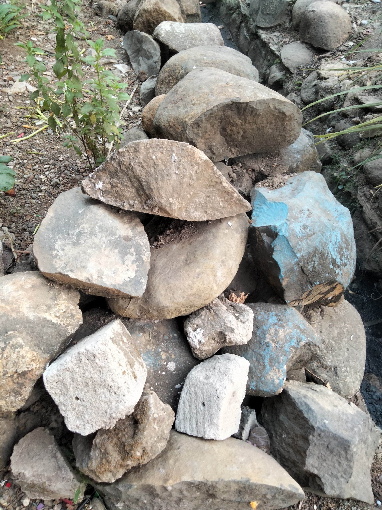 A pile of rocks, some of which have blue paint on them, are arranged near a small plant and a trench. The rocks vary in size and shape, with some being smooth and rounded, while others are rough and angular. The plant is green and leafy, with a few small fruits visible. The trench is filled with dirt and some debris. The scene appears to be outdoors, possibly in a garden or a natural area.
