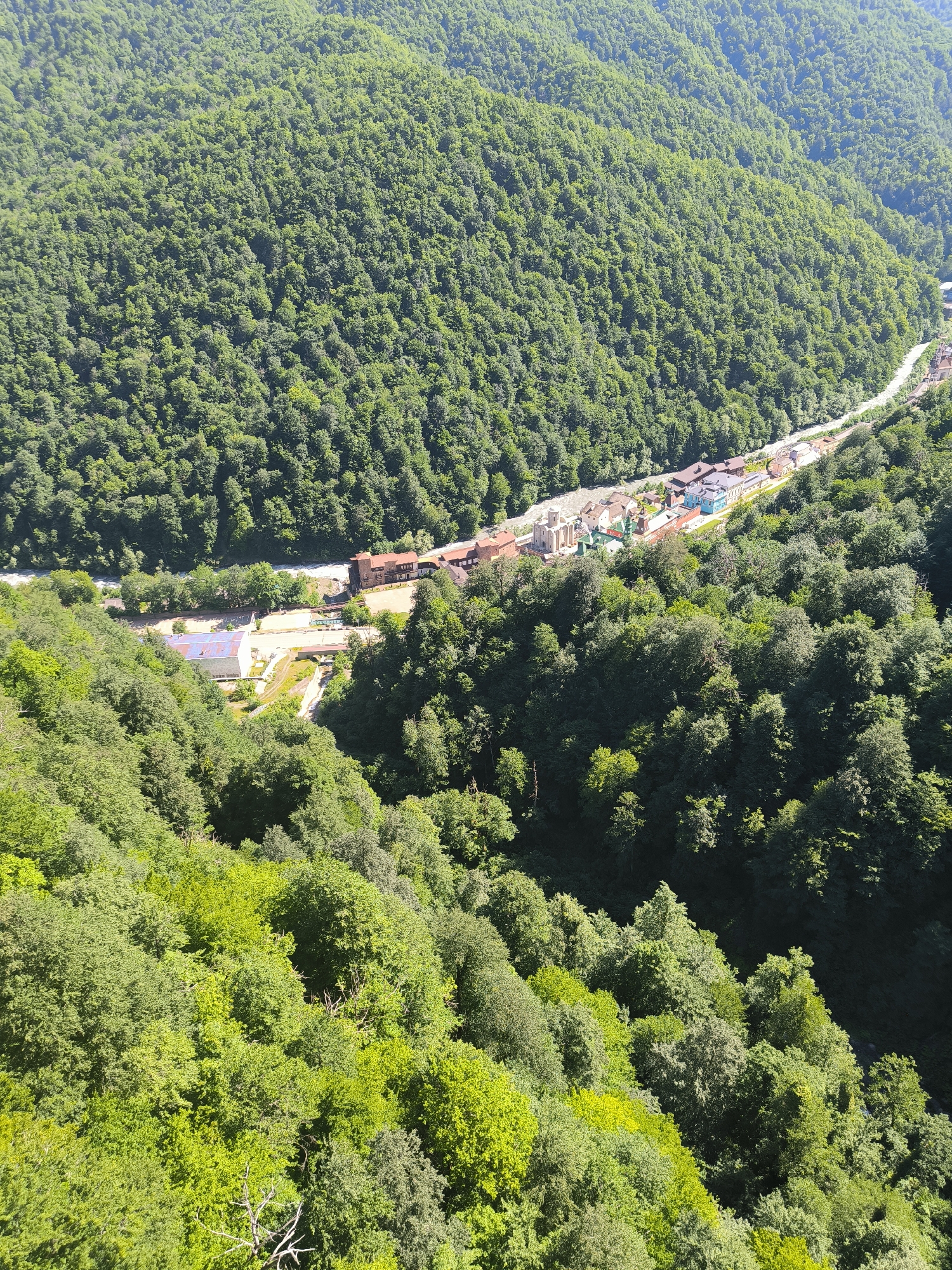 An aerial, high-angle, full shot captures a vast, verdant mountain landscape under a clear, bright sky. Lush, dense green forests blanket the steep slopes of the mountains, creating a textured tapestry of foliage that extends as far as the eye can see. A narrow, winding river or stream cuts through the valley floor, its path flanked by a ribbon of human habitation. Several buildings, clustered together, form a small settlement nestled within the embrace of the mountains. These structures appear to be a mix of architectural styles, with some featuring red-tiled roofs and others painted in brighter colors. A paved road or pathway snakes alongside the settlement and the river, indicating a connection to the outside world. The foreground of the image is dominated by the upper canopy of trees, their leaves vibrant and illuminated by the sunlight, creating a sense of depth and immersion in the natural environment. The overall scene evokes a sense of remote tranquility and the harmonious coexistence of nature and human settlement.