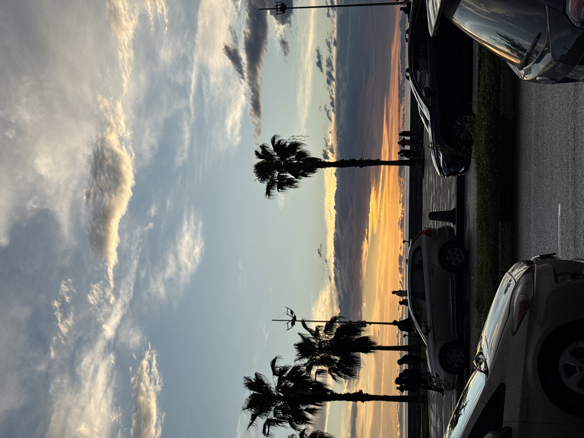 Captured in Batumi, Georgia, the image showcases a sunset scene marked by vibrant orange and gold hues illuminating the sky behind silhouette palm trees. Alongside the palm trees, there is a lamppost with decorative elements on top. The photo appears to have been taken from a street alongside the waterfront. Several parked cars line the right side of the frame. Beyond the palm trees, figures of people stand near the edge of what appears to be a promenade, observing the sunset. The sky is streaked with various cloud formations, adding depth to the scene.