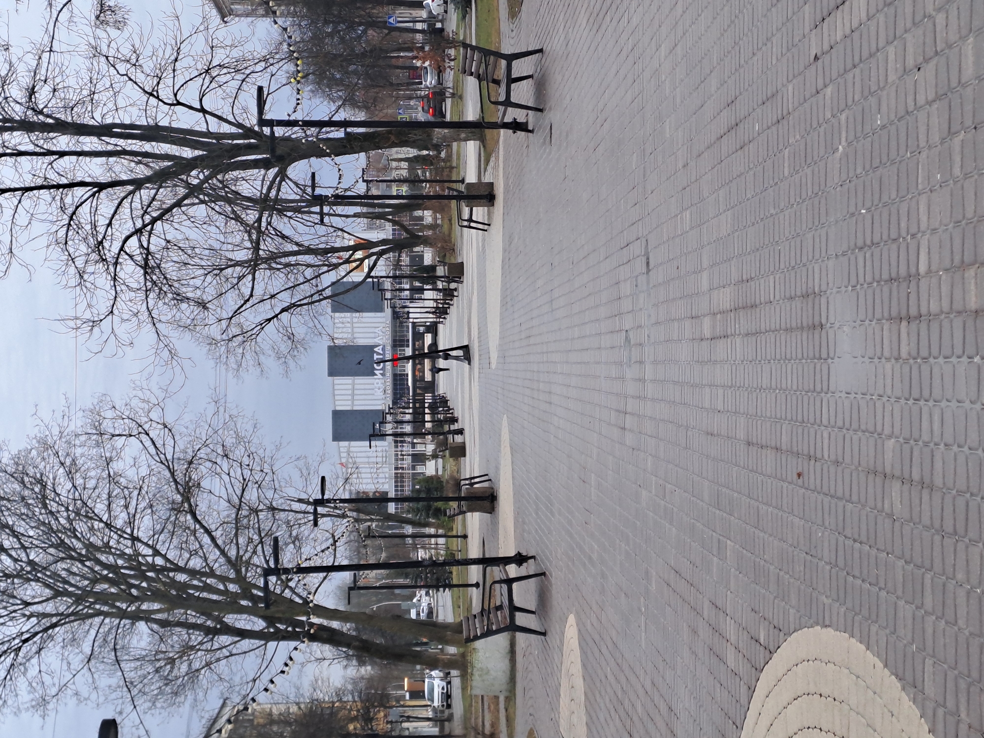 The image shows a straight pedestrian walkway lined with benches and lamp posts. Bare trees flank the walkway. In the background, a tall building can be seen, and other buildings are visible along the sides of the walkway. The location is Elektrostal, Russia. The walkway is paved with grey, rectangular blocks and features some circular patterns. The weather appears overcast. There are no people visible in the image.