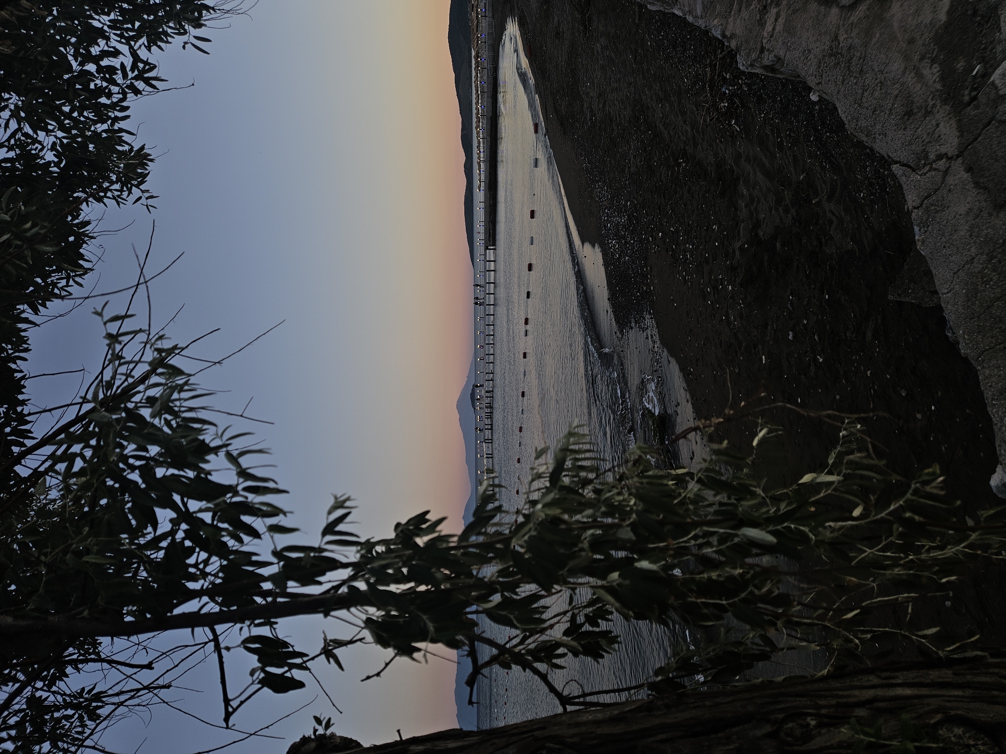 The image depicts a serene twilight scene at a beach in Seferihisar, Turkey. The foreground is dominated by the silhouette of a tree with its branches and leaves partially obscuring the view. The beach itself is dark sand with scattered pebbles. Beyond the sand is the calm sea, reflecting the soft hues of the sky. In the distance, a pier extends into the water, with a few indistinct figures visible on it. Along the coastline, there are lights from buildings or structures, and further out, the silhouettes of hills or mountains form the horizon. The sky exhibits a gradient of colors, transitioning from a pale blue at the top to soft pinks and oranges closer to the horizon, indicative of either sunrise or sunset. The overall atmosphere is tranquil and peaceful.