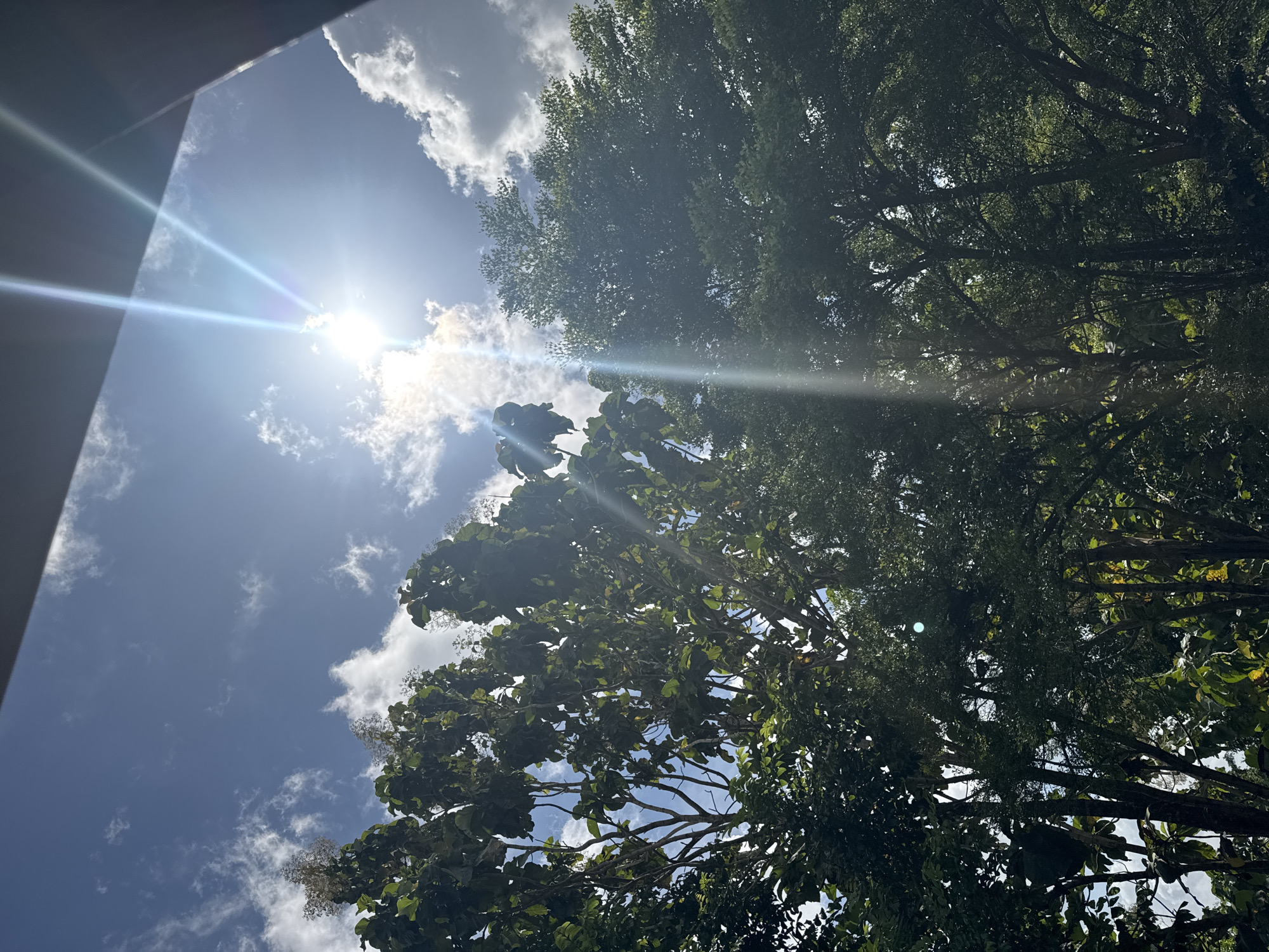 The image depicts a view looking upwards towards the sky, partially obscured by trees. The sun is visible, creating a lens flare effect. Clouds are scattered across the blue sky. The location is consistent with the area around Kuta Selatan, Indonesia, which features tropical vegetation and a sunny climate. The composition suggests the photograph was taken from a low vantage point, possibly from the ground. The scene shows no human presence or interaction.